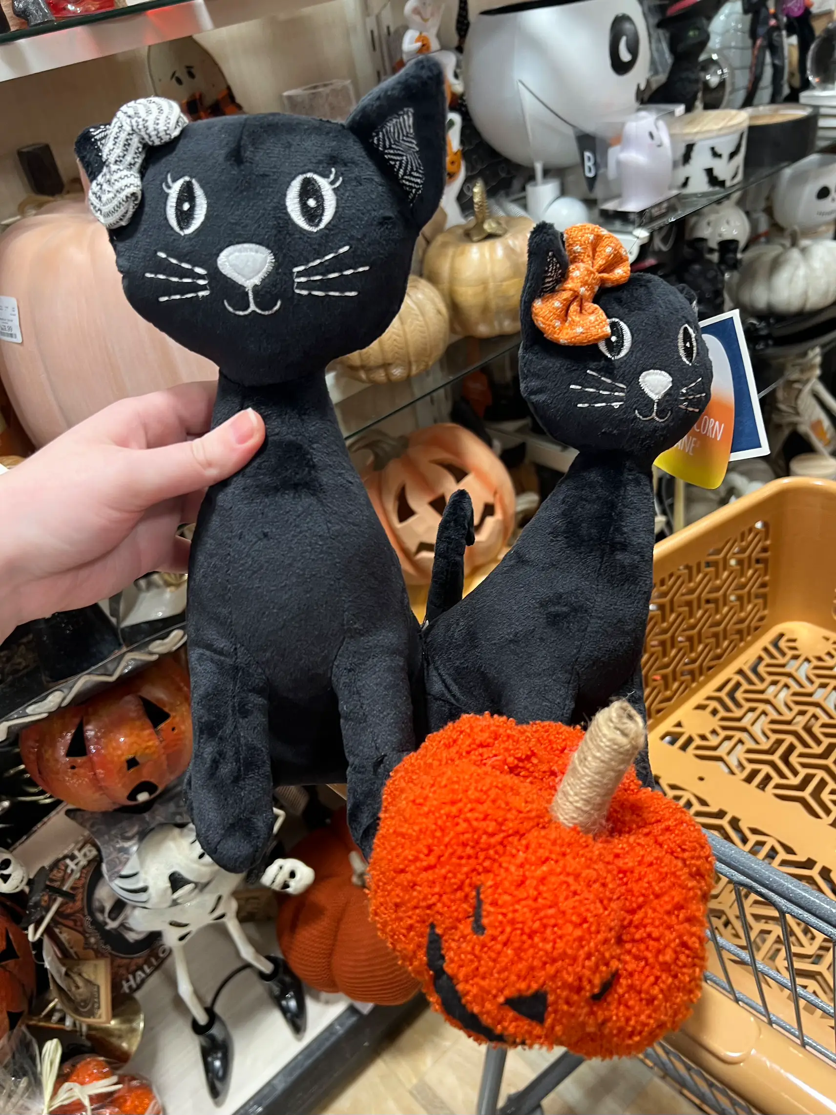 Halloween decor I didn't end up getting | Toriが投稿したフォト