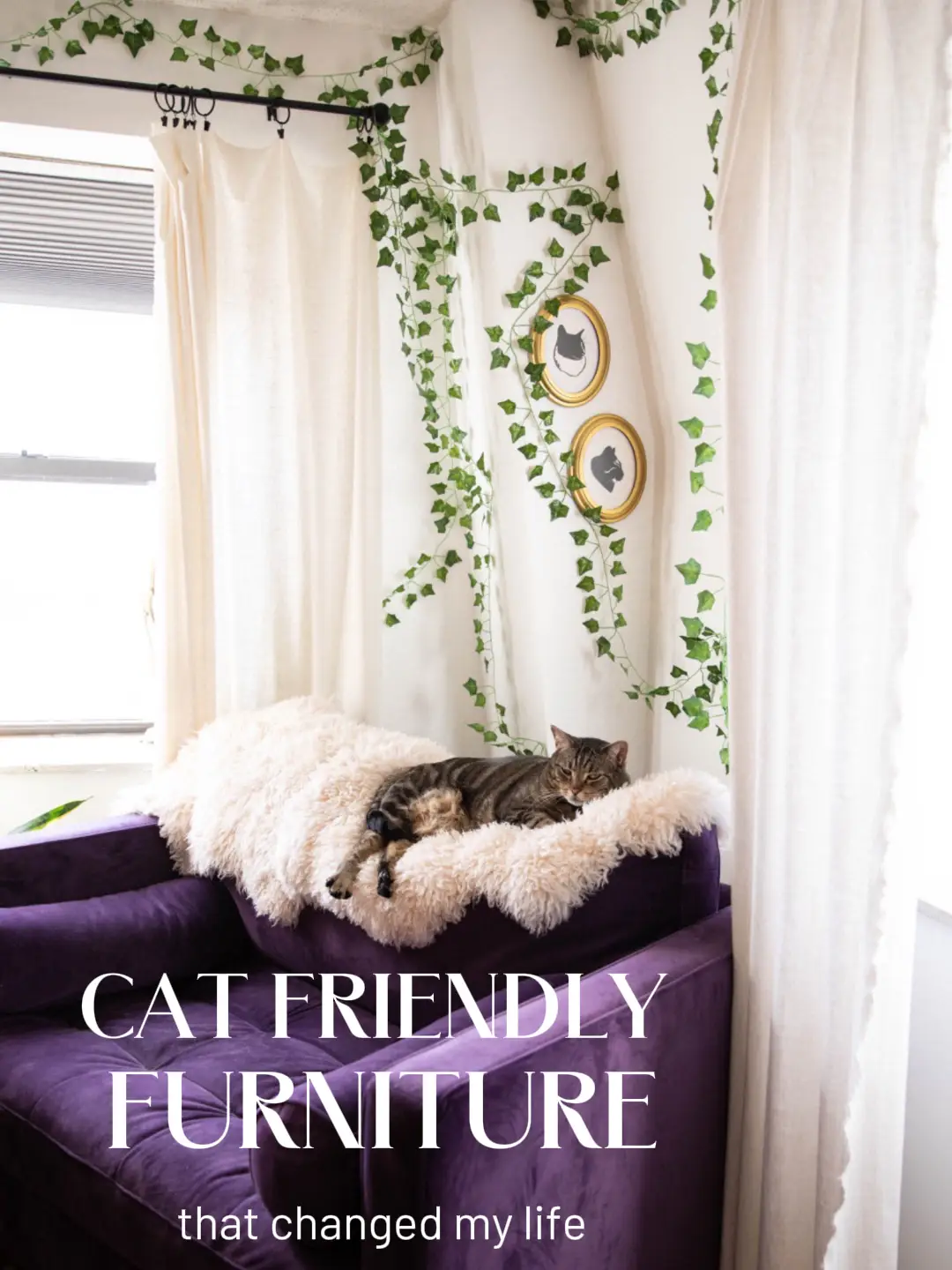 Cat friendly clearance bedding