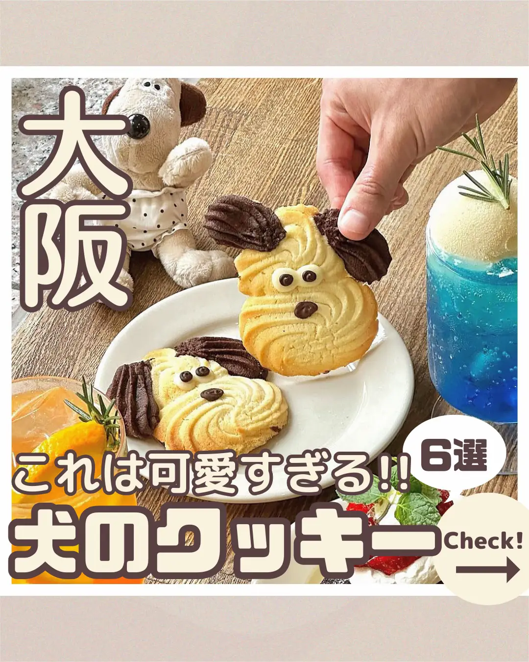 犬のクッキーが食べれるカフェ6選』 | カフェガールが投稿したフォトブック | Lemon8