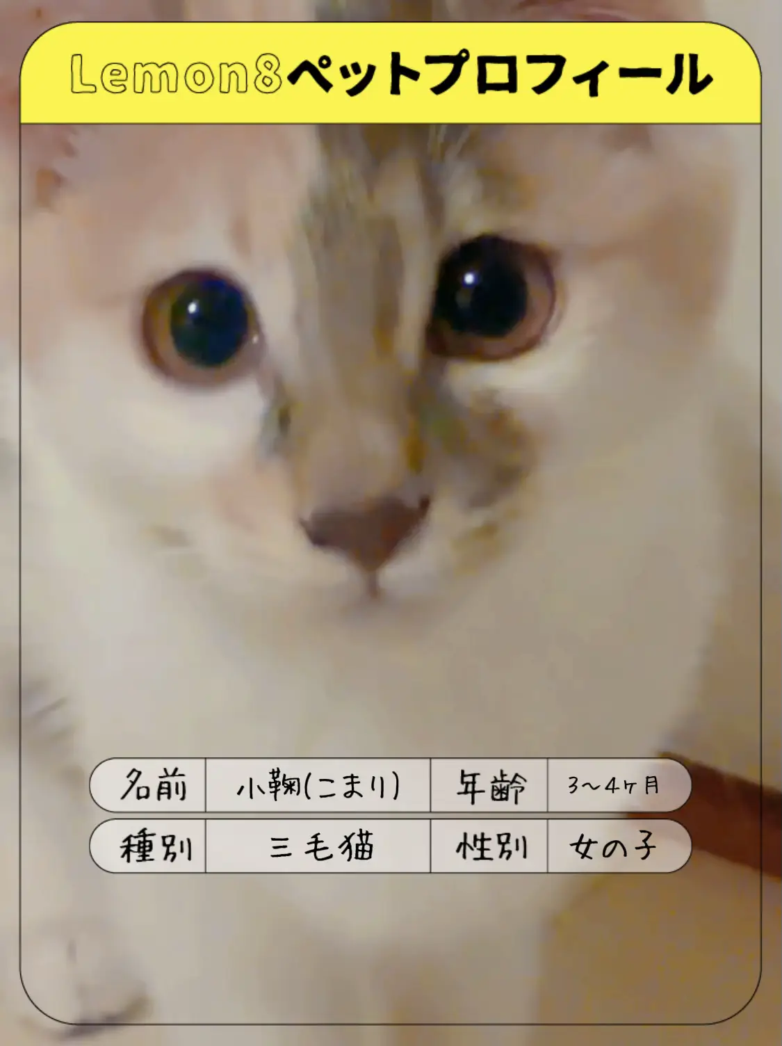 三毛猫風親子にゃんこ♡♡ - ピアス