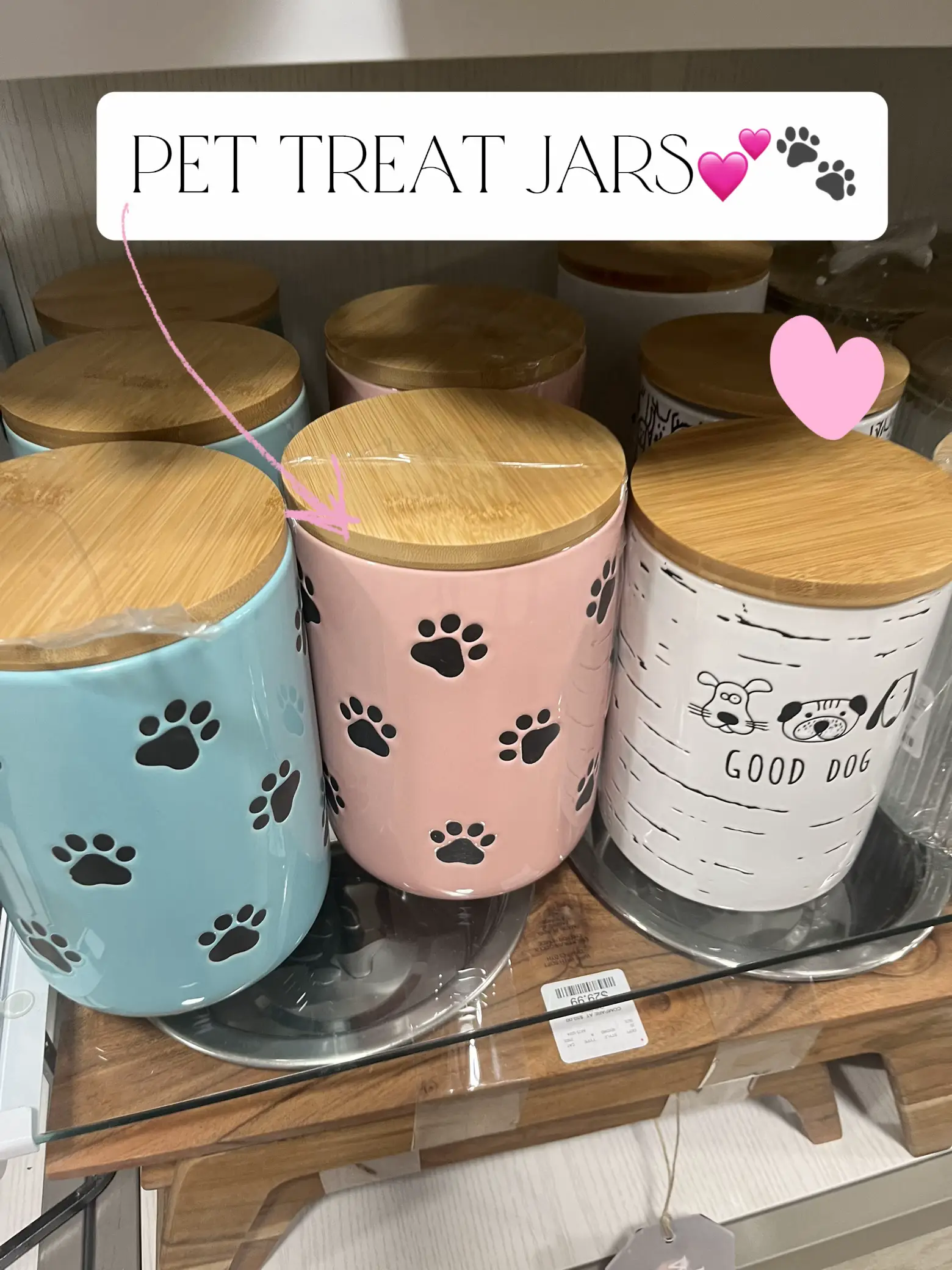 Homegoods Deals for Pet Owners Lemon8 Search