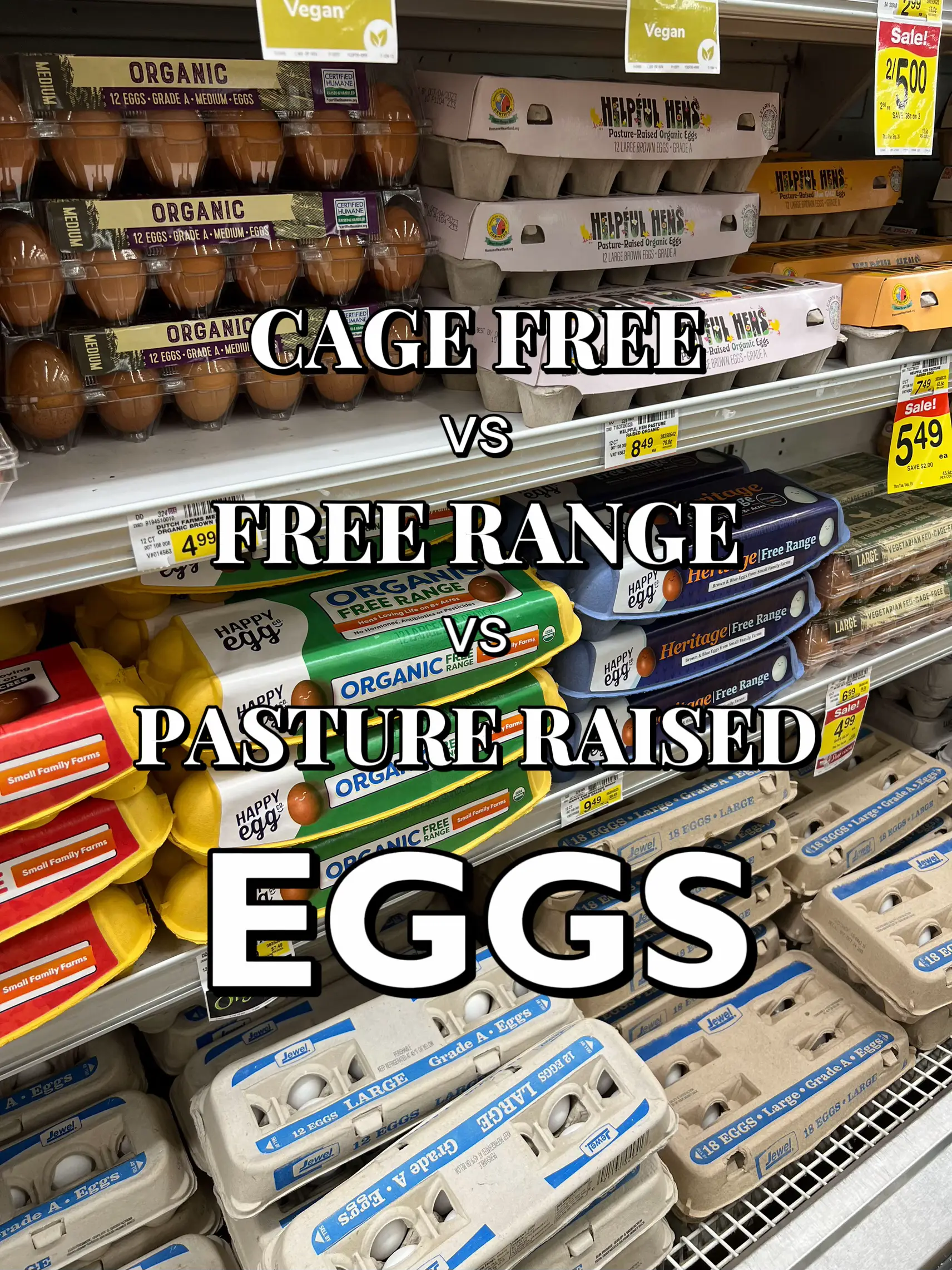 CAGE FREE VS FREE RANGE VS PASTURE RAISED EGGS, Gallery posted by  MACKENZIE ✨🌎🤍🌾