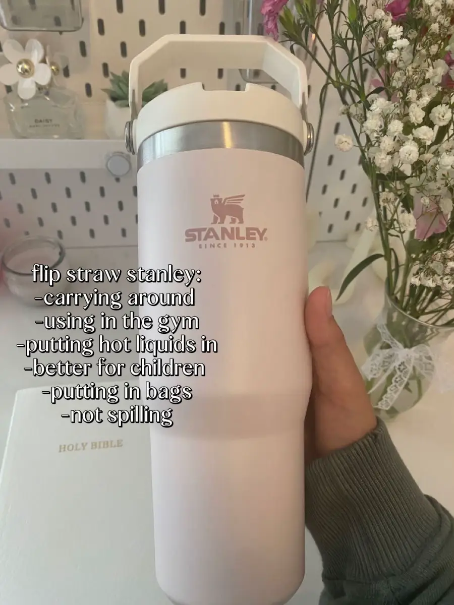 Stanley Quencher Tumbler Review: Does It Live Up To The Hype? - So Yummy -  Video Recipes, Easy Dinner Ideas & Healthy Snacks