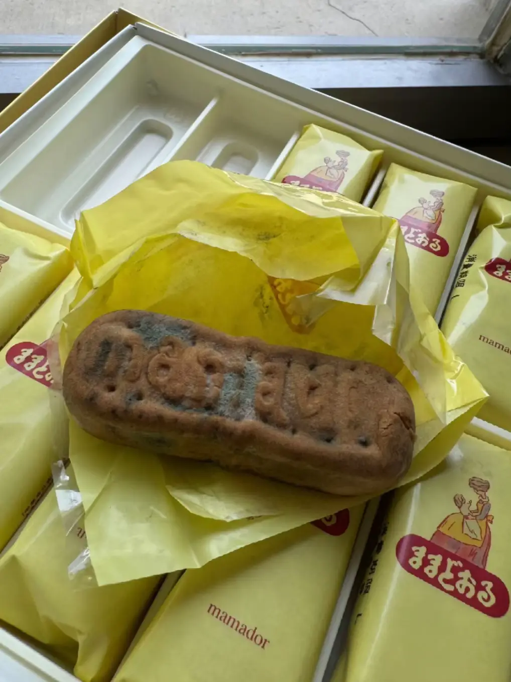 友達からのお土産はカビてる、教えますか？ | Zzzinaが投稿したフォト  