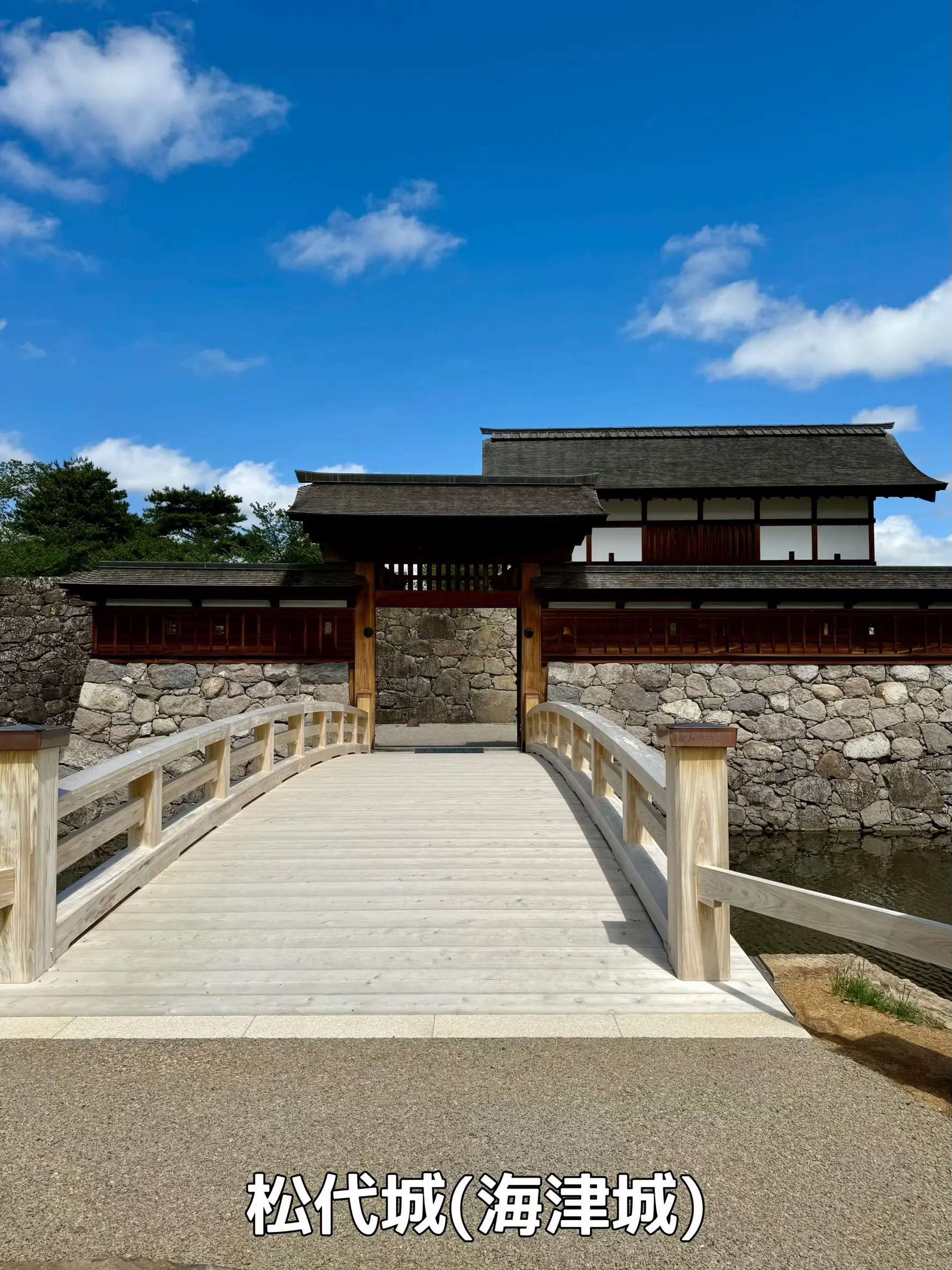御城印 日本100名城 松代城 長野県 長野市 御朱印 見よ 【即決】