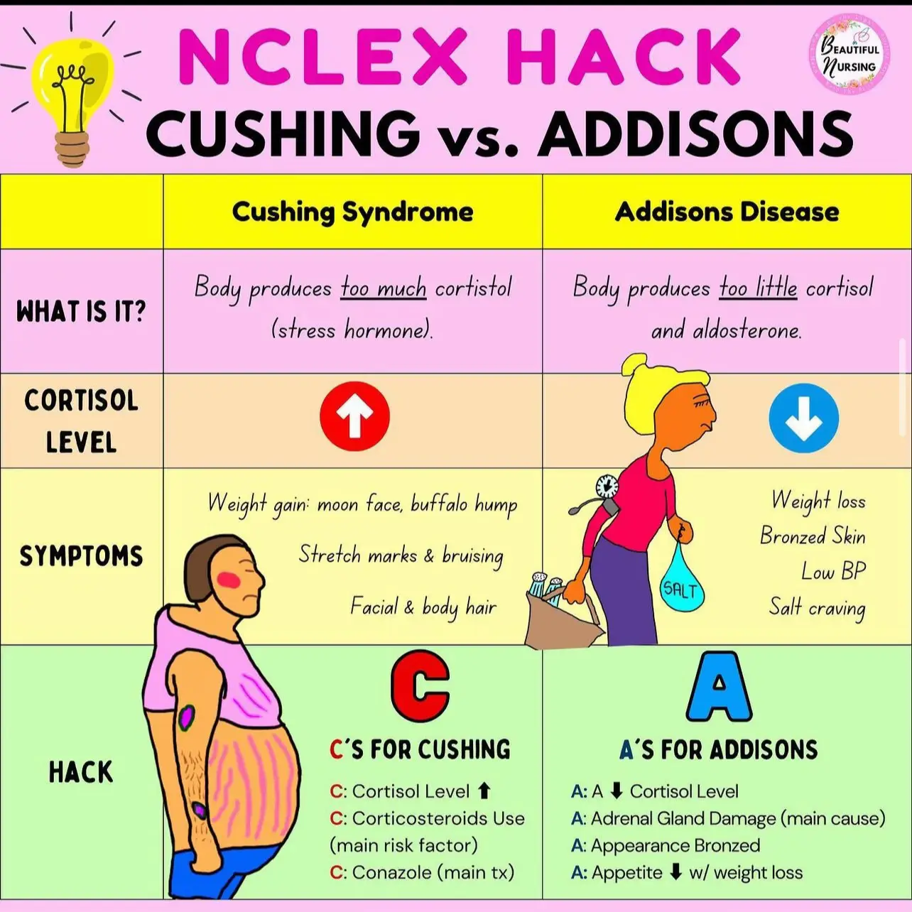 NURSING SCHOOL cheat sheets ) Gallery posted by rae 🥝🌊🍊💞🌙 Lemon8