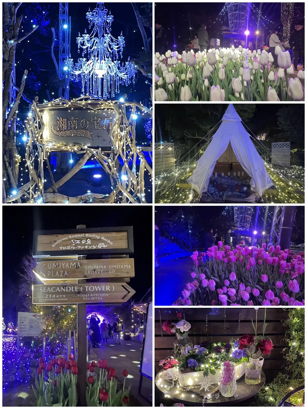 鎌倉散歩と美味しいグルメ体験💕 