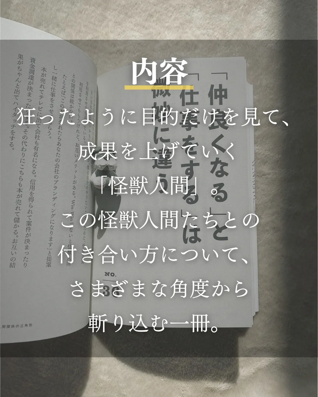 🦖怪獣人間の手懐け方 | ハル / 本が好きな人📕が投稿したフォトブック