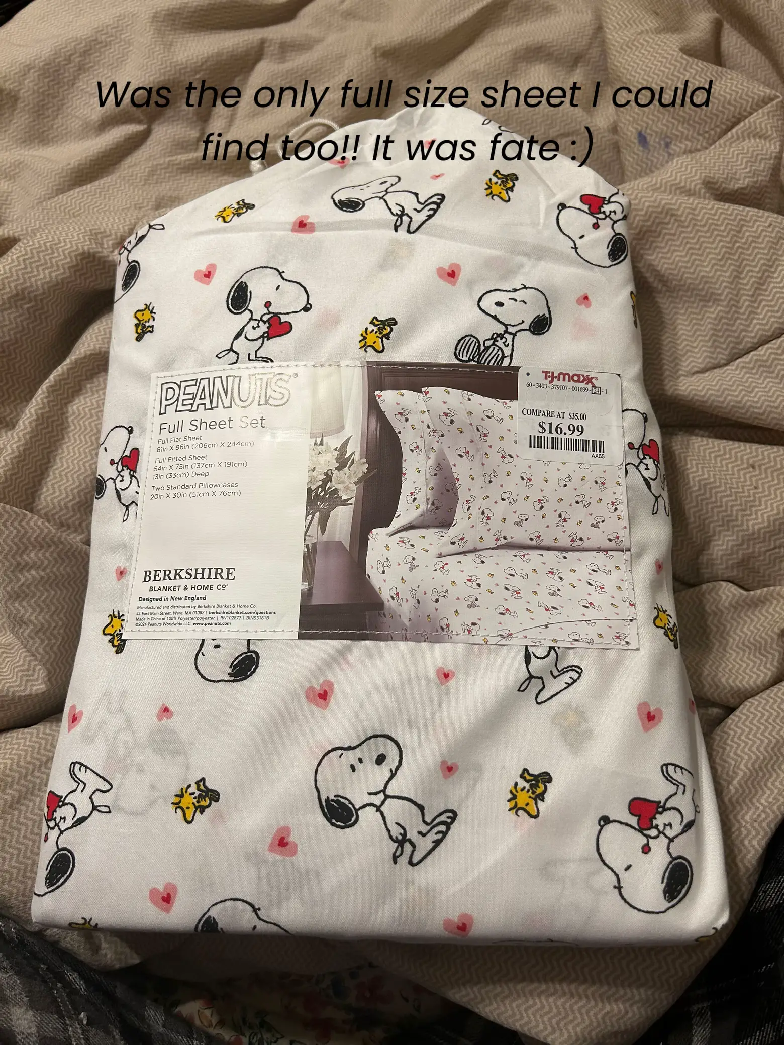 Tj maxx snoopy discount blanket