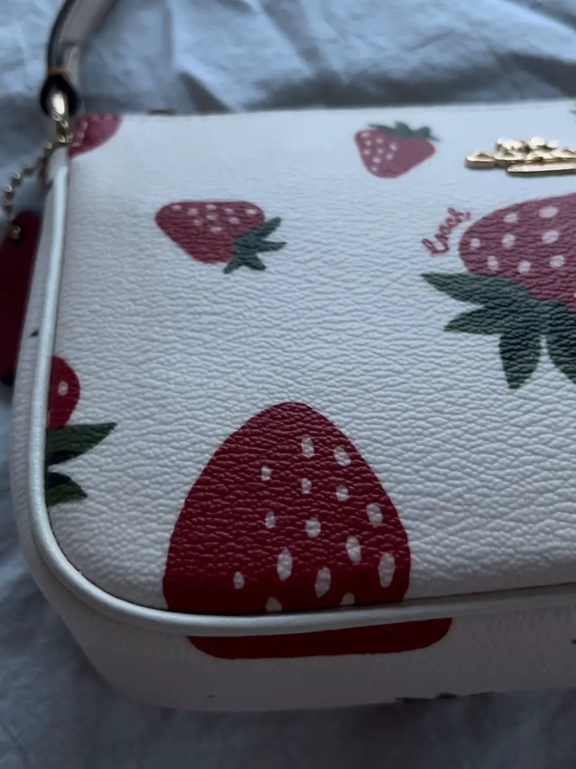 Coach discount ladybug purse