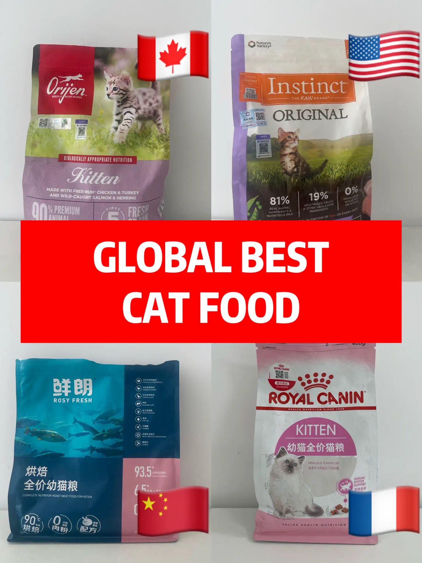 20 top lidah kucing jepang ideas in 2024