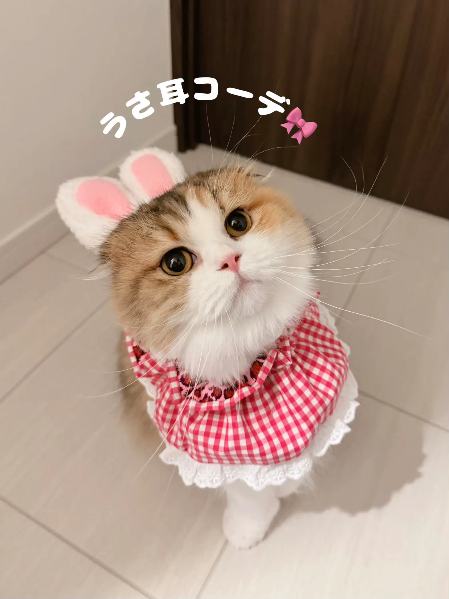 ハンドメイドスタイ　うさみみセーラースタイ　kao様 ハンドメイドスタイ うさみみセーラースタイ kao様 オンラインショップ