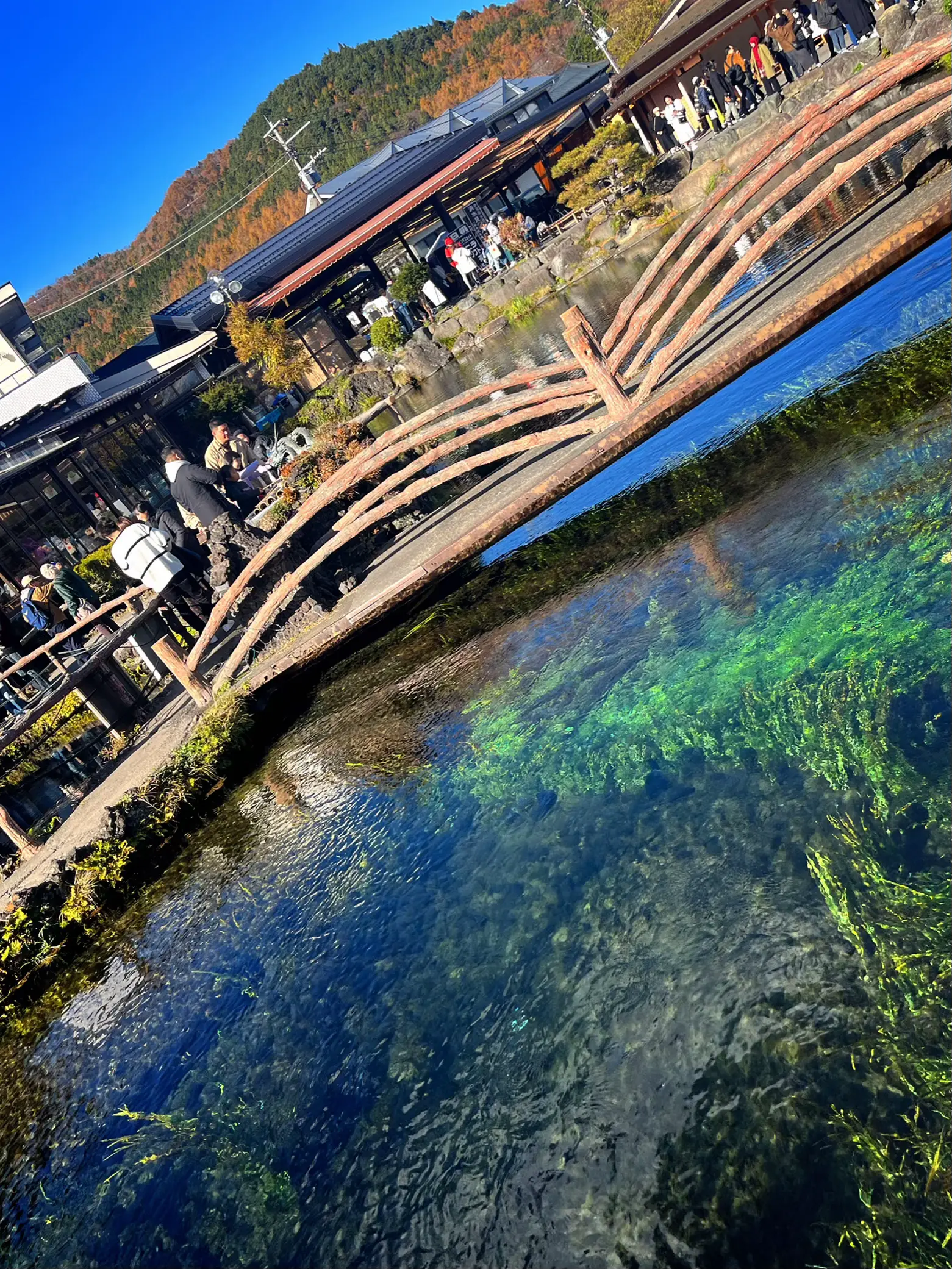 山梨県忍野八海の濁池✨大好物の富士山🗻ビューポイントあり👍雲で隠れてますが、荒い感じの富士山素敵‼️ | kazuが投稿したフォトブック |  Lemon8