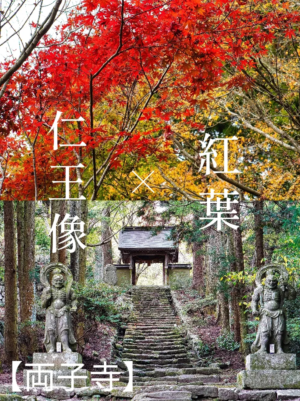 大分県 国東半島 【両子寺】参道の仁王像と紅葉が圧巻 | yshkが投稿したフォトブック | Lemon8