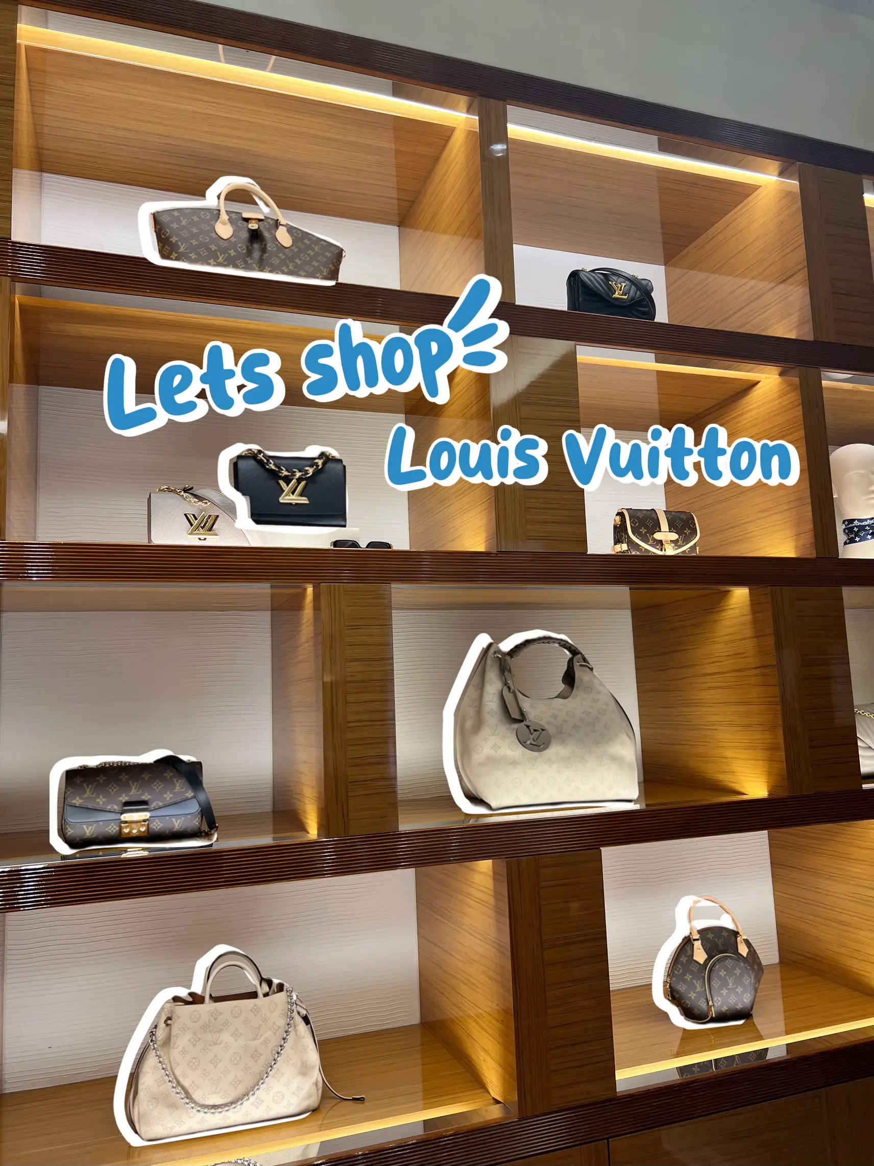 Brighter Bag - Louis Vuitton Favorite MM vs PM size