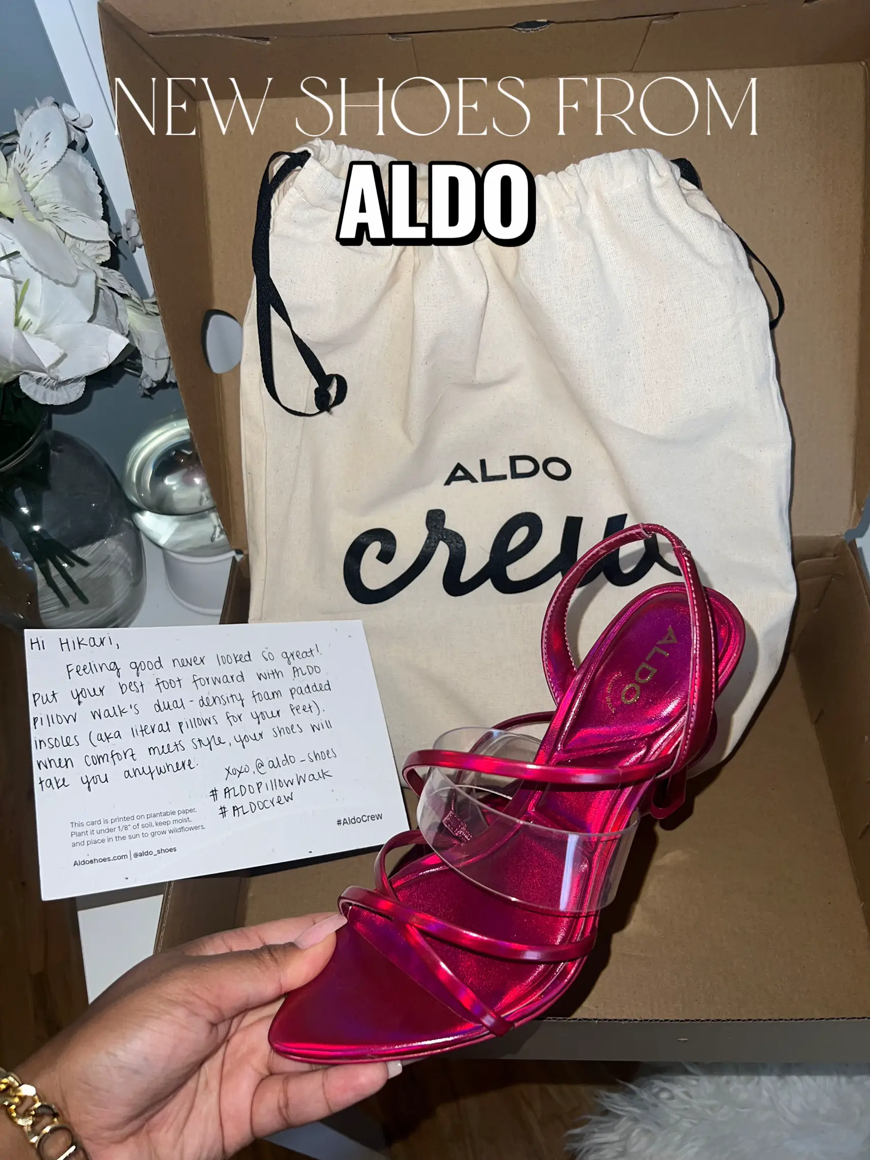 Aldo on sale shoes pavilion