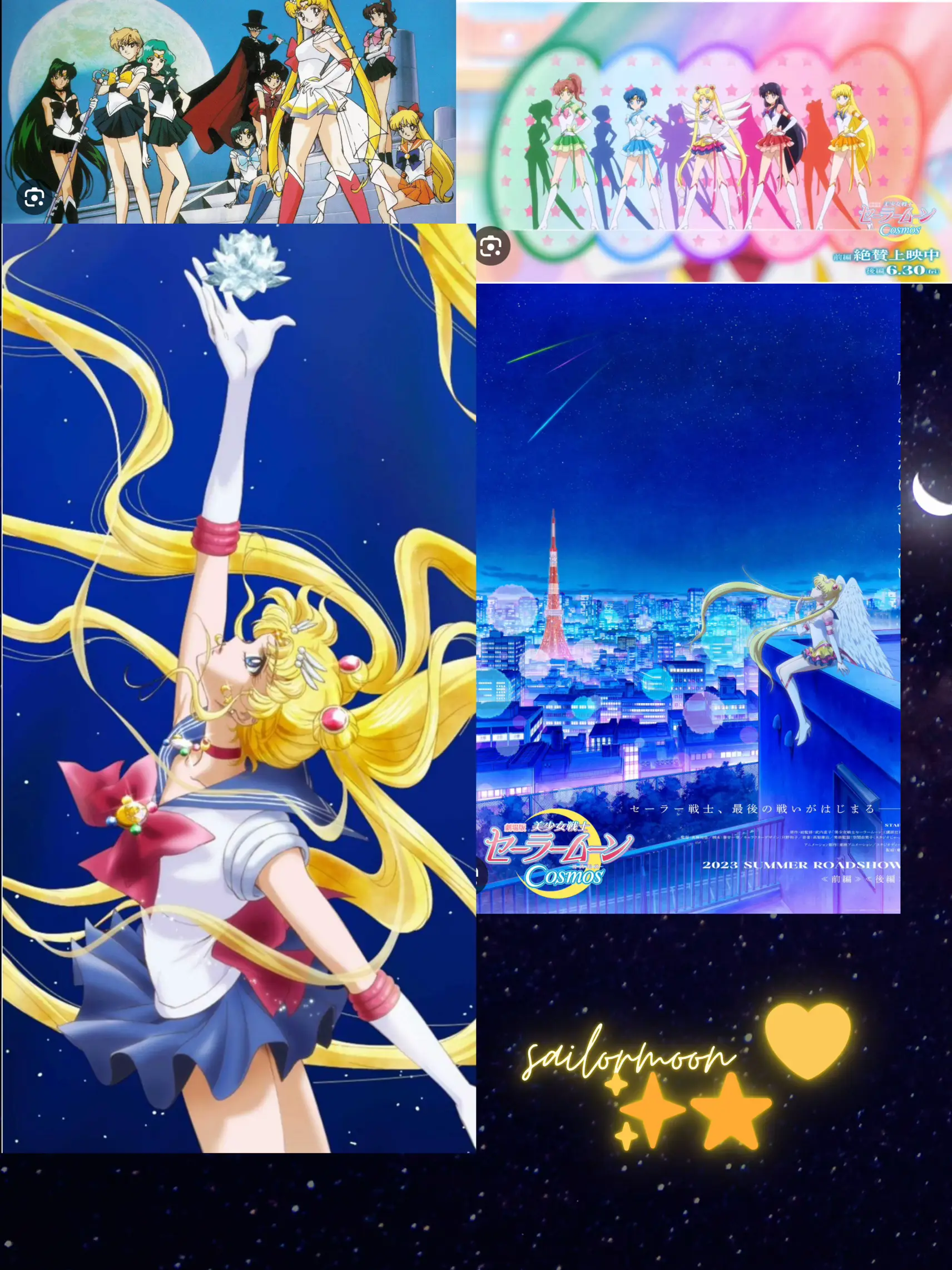 Sailor Moon live-action adaptations - Lemon8 Search