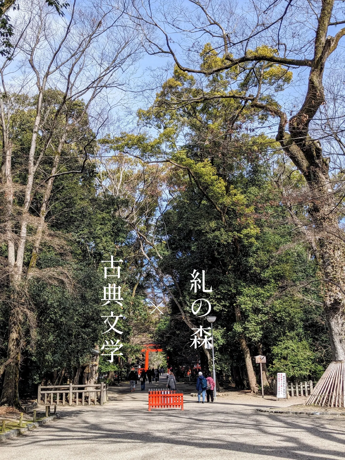 下鴨神社と糺の森と河合神社 | kunimiが投稿したフォトブック | Lemon8