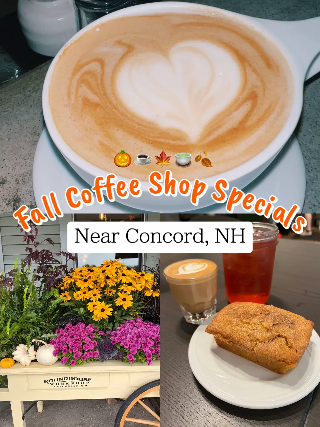 Fall Coffee Shop Specials in Concord, NH ☕️ Gallery posted by Sophia