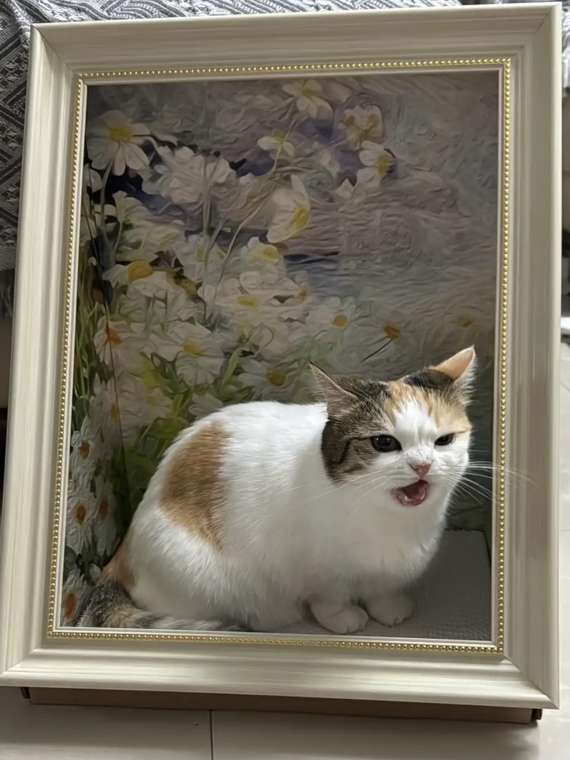 猫 絵画 子猫 イラスト 水彩色鉛筆 油彩色鉛筆 原画 梅雨だニャ〜 白猫ちゃん