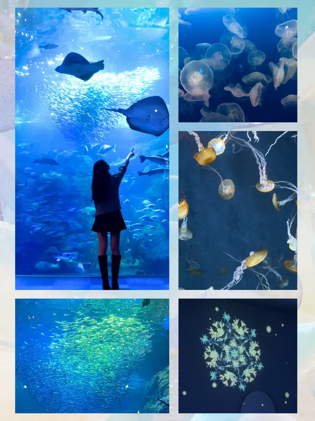 💗💎🎄Recommended for X'mas date 🎄💎💗 Collaboration of sparkling  illuminations ✨ aquarium held for the first time this year | Gallery posted  by YUKI ✈︎ おでかけ先提案 | Lemon8