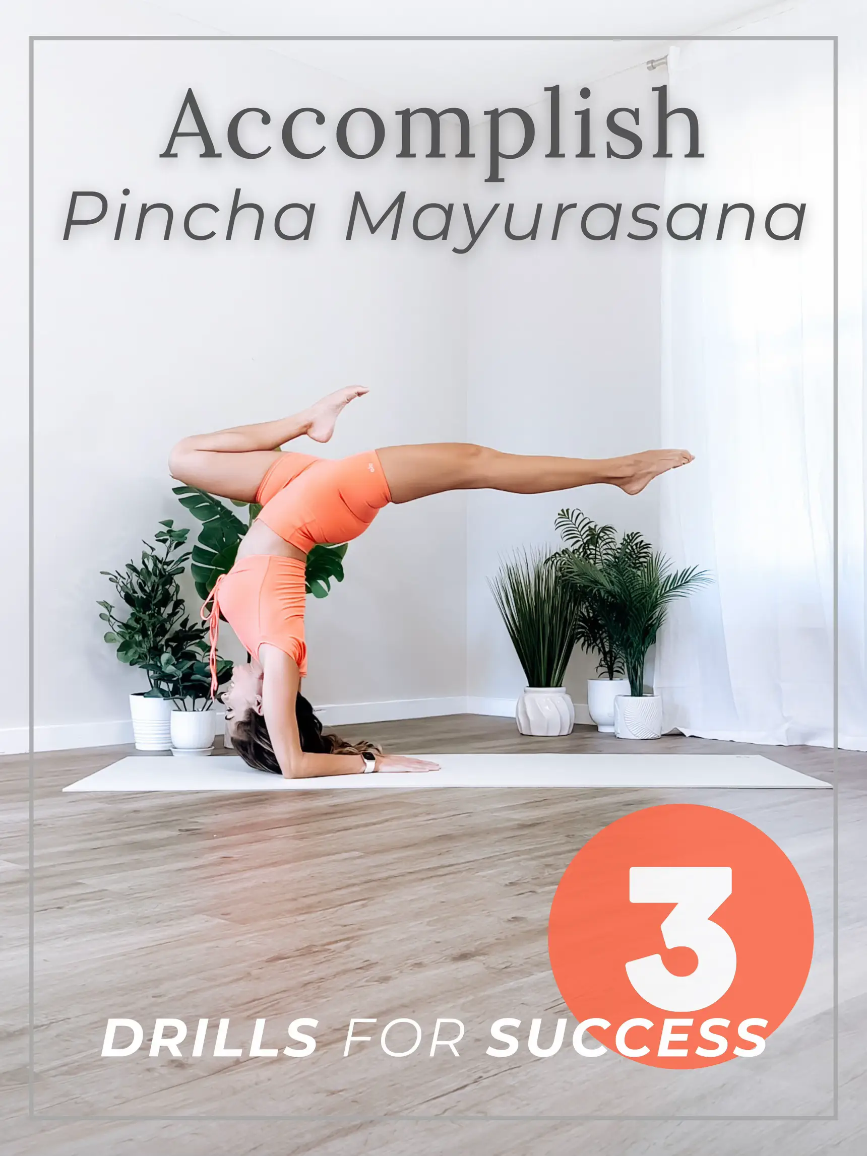 Accomplish Pincha Mayurasana: 3 Drills for Success, Gallery posted by  JenBellYoga