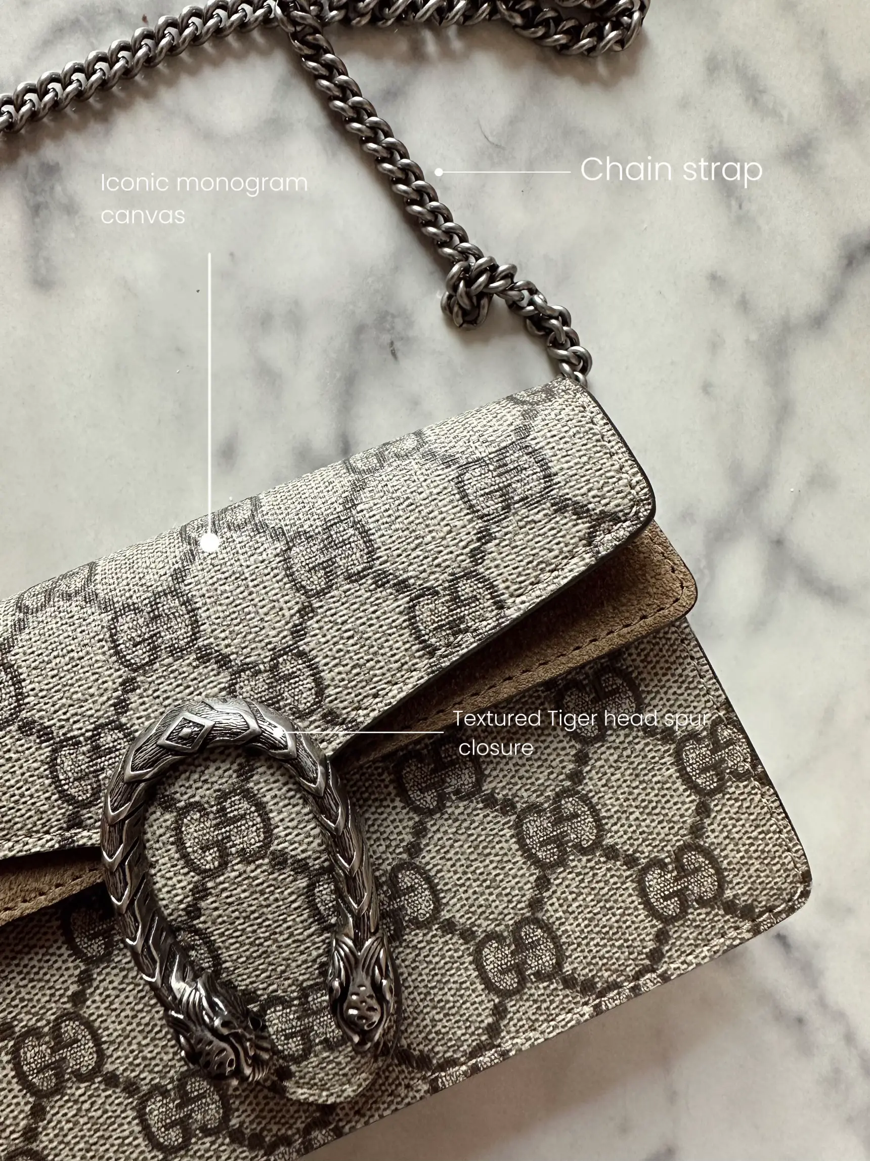 Gucci Dionysus Mini Bag Review 