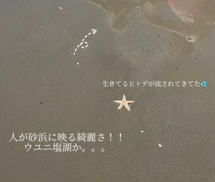 ✨透明度抜群‼︎子連れでも楽しみやすい海✨ @関東（千葉県） | 子連れ ...