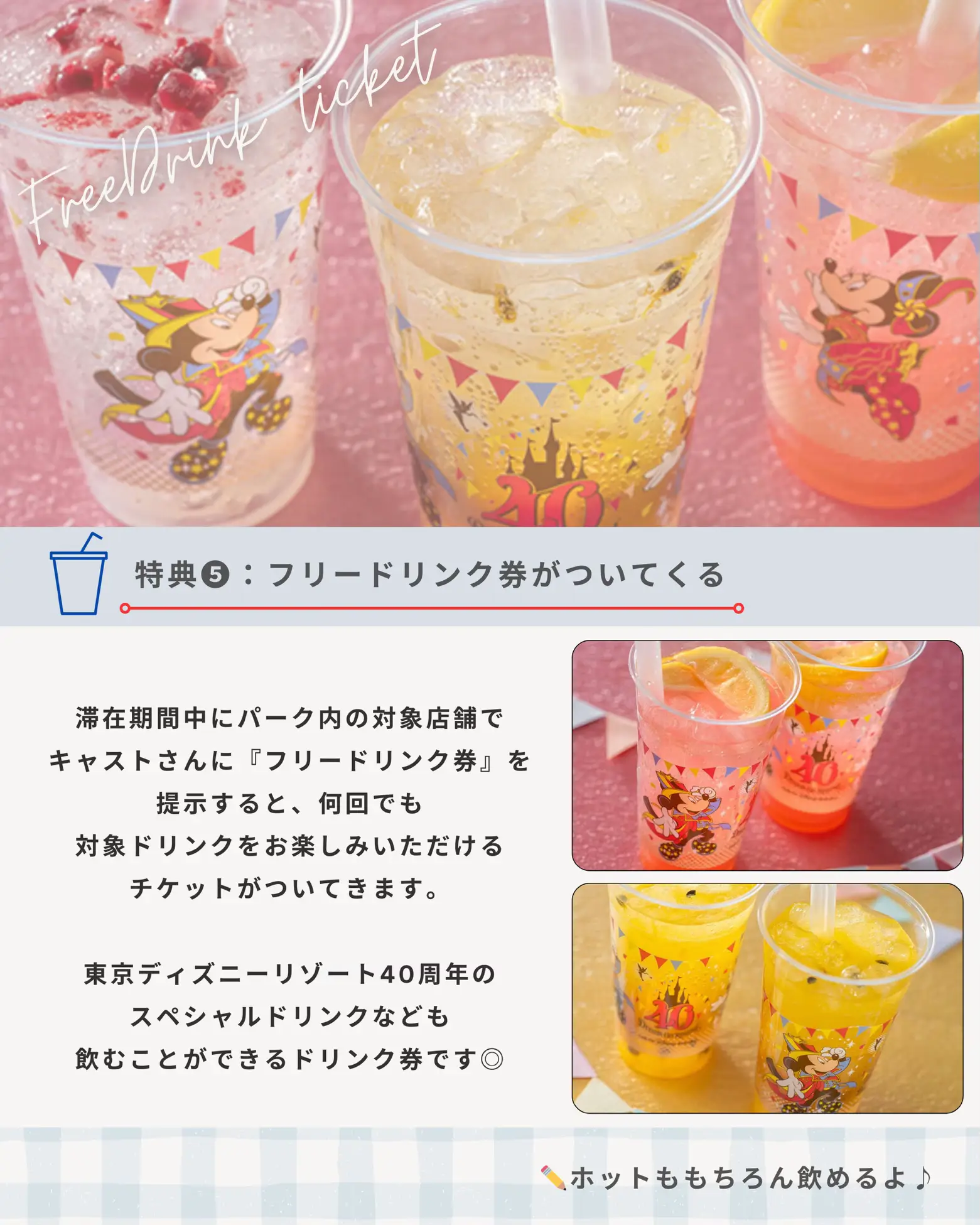 ディズニーバケーションパッケージフリードリンク2枚グッズ引換1 ディズニーバケーションパッケージフリードリンク2枚グッズ引換1