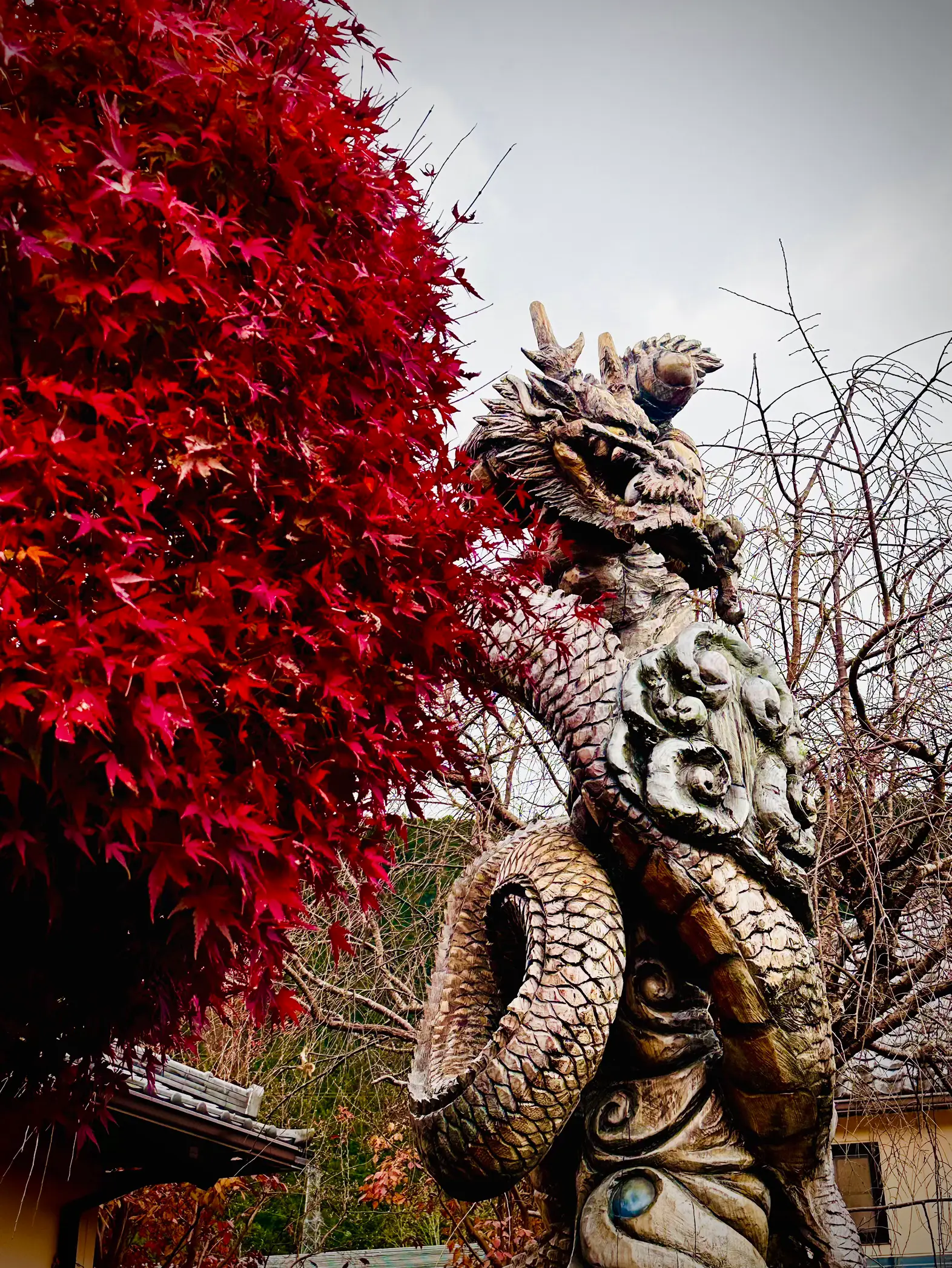 あまり公開したくない2024年辰年🐲の激アツスポット✨竜の神様に願い事ができる「奥三河のナイアガラ」 |  garapagos絶景旅行提案が投稿したフォトブック | Lemon8