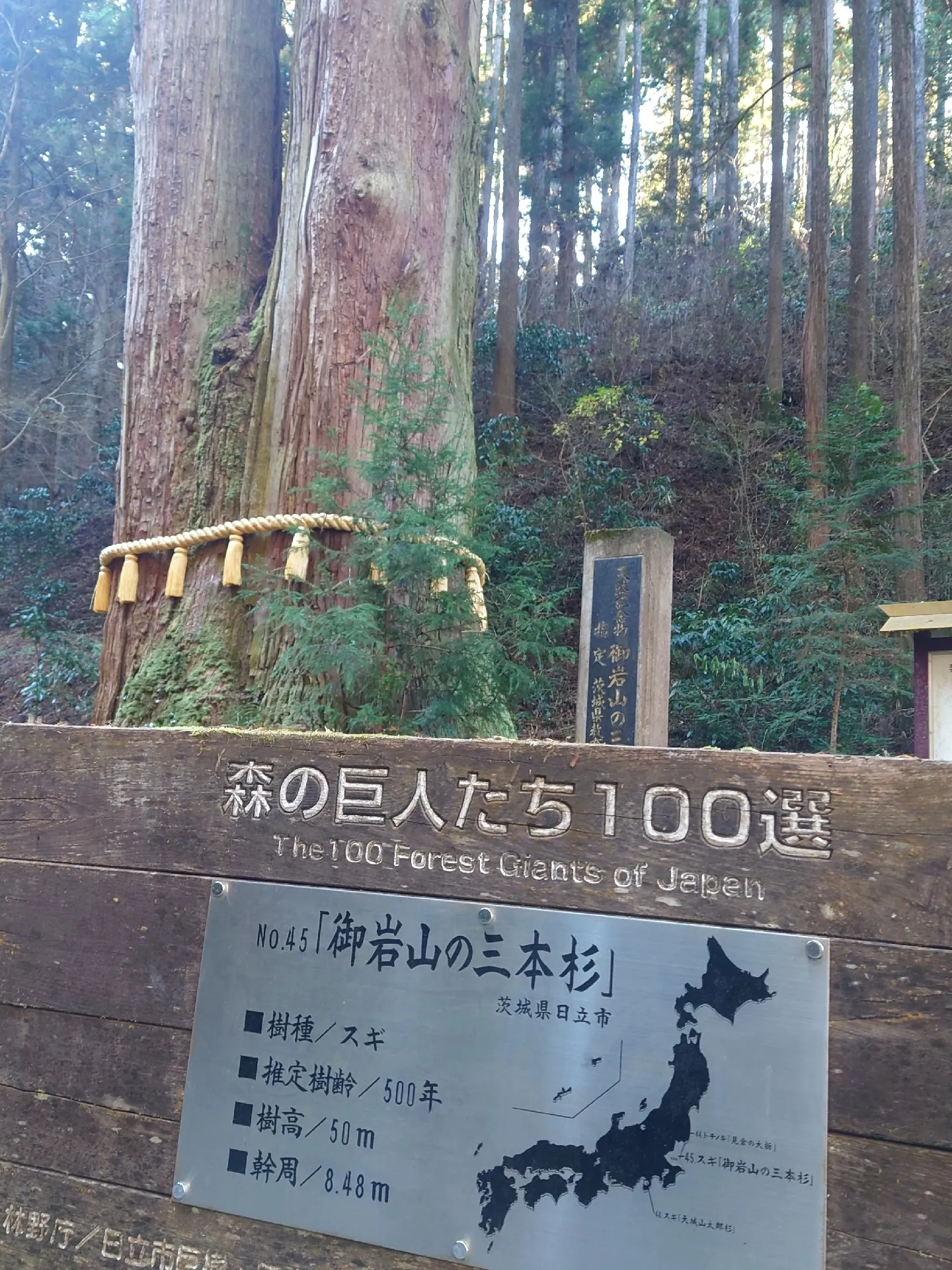 茨城県パワースポット御岩神社⛩️レースの干支福守🐉 | デコポン娘が投稿したフォトブック | Lemon8