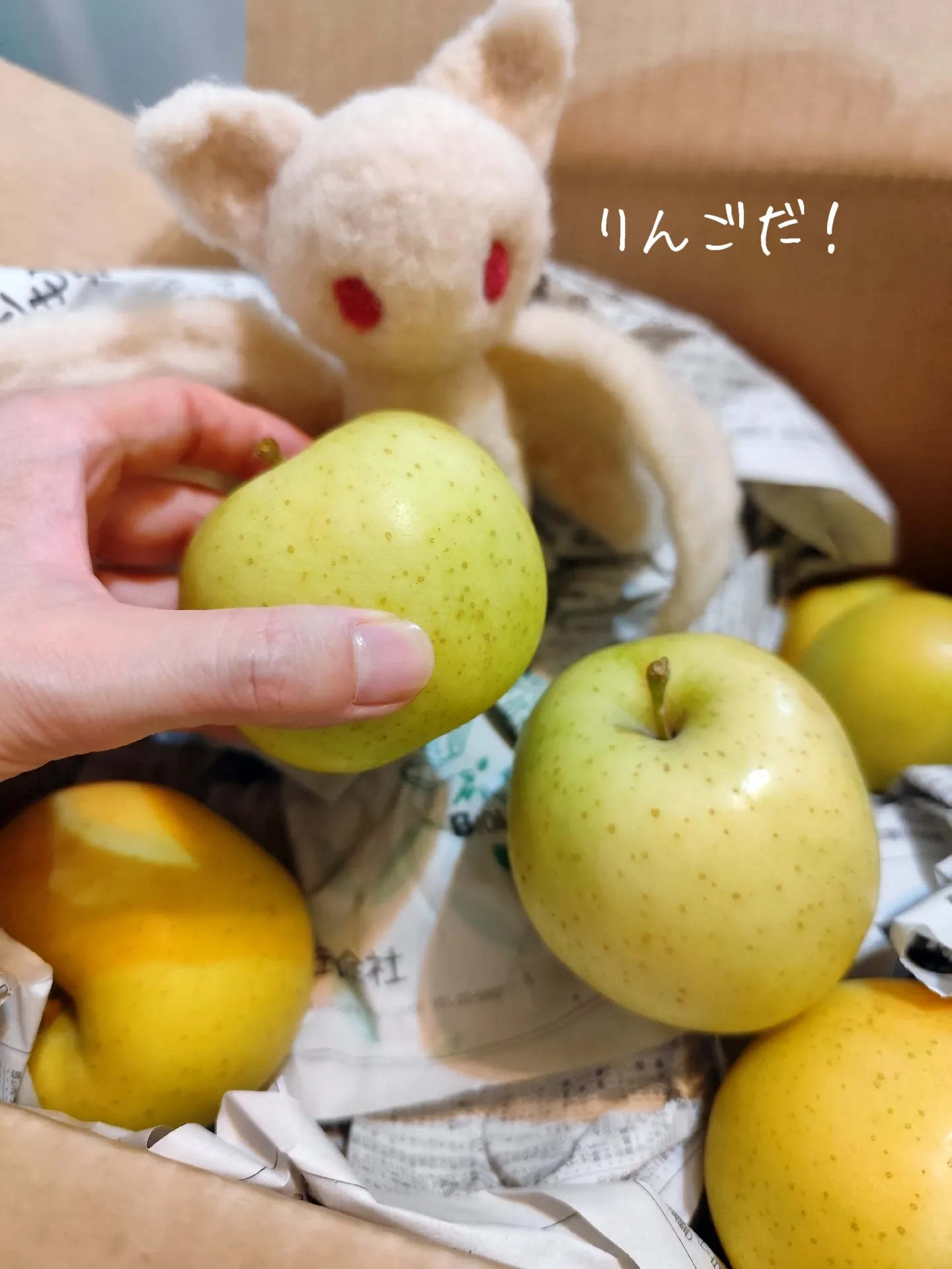 訳アリりんご届いたよ🦇🍎🍏 | シロコウモリが投稿したフォトブック | Lemon8