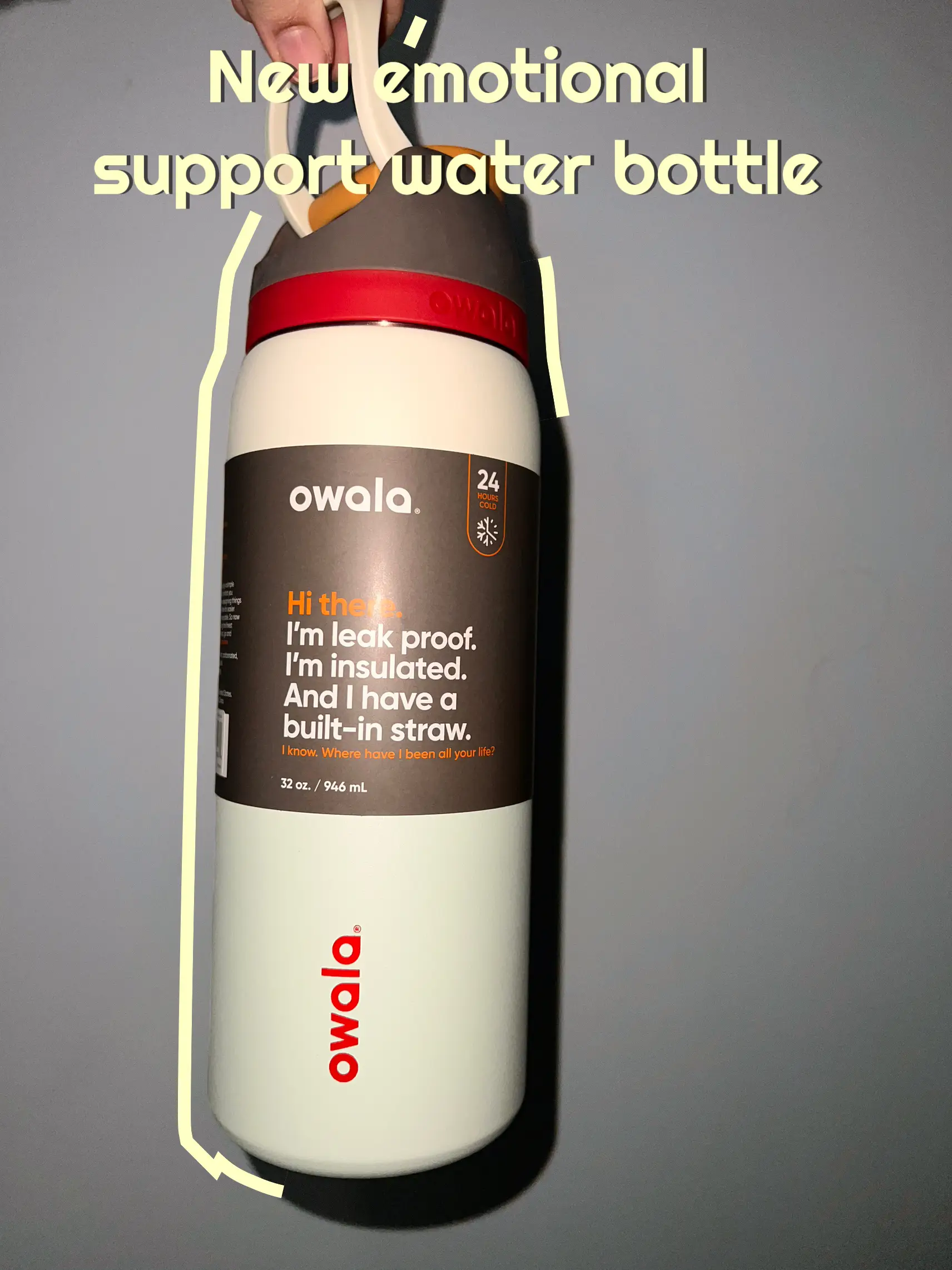 Owala 24 oz Neo Sage FreeSip Water Bottle