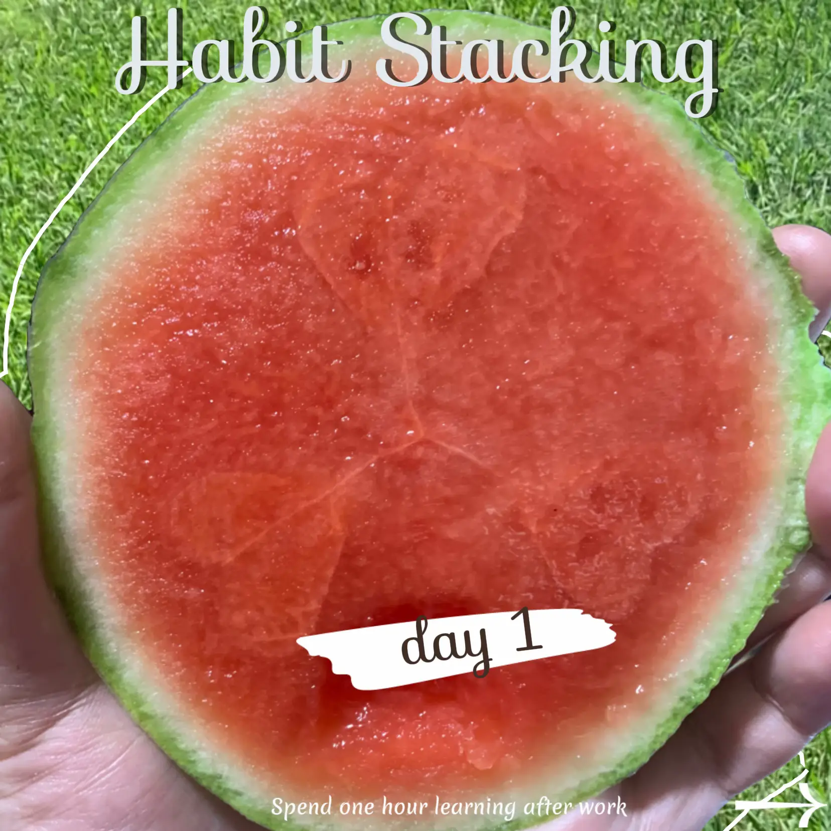 One healthy thing a day gallery posted by chanel lemon8