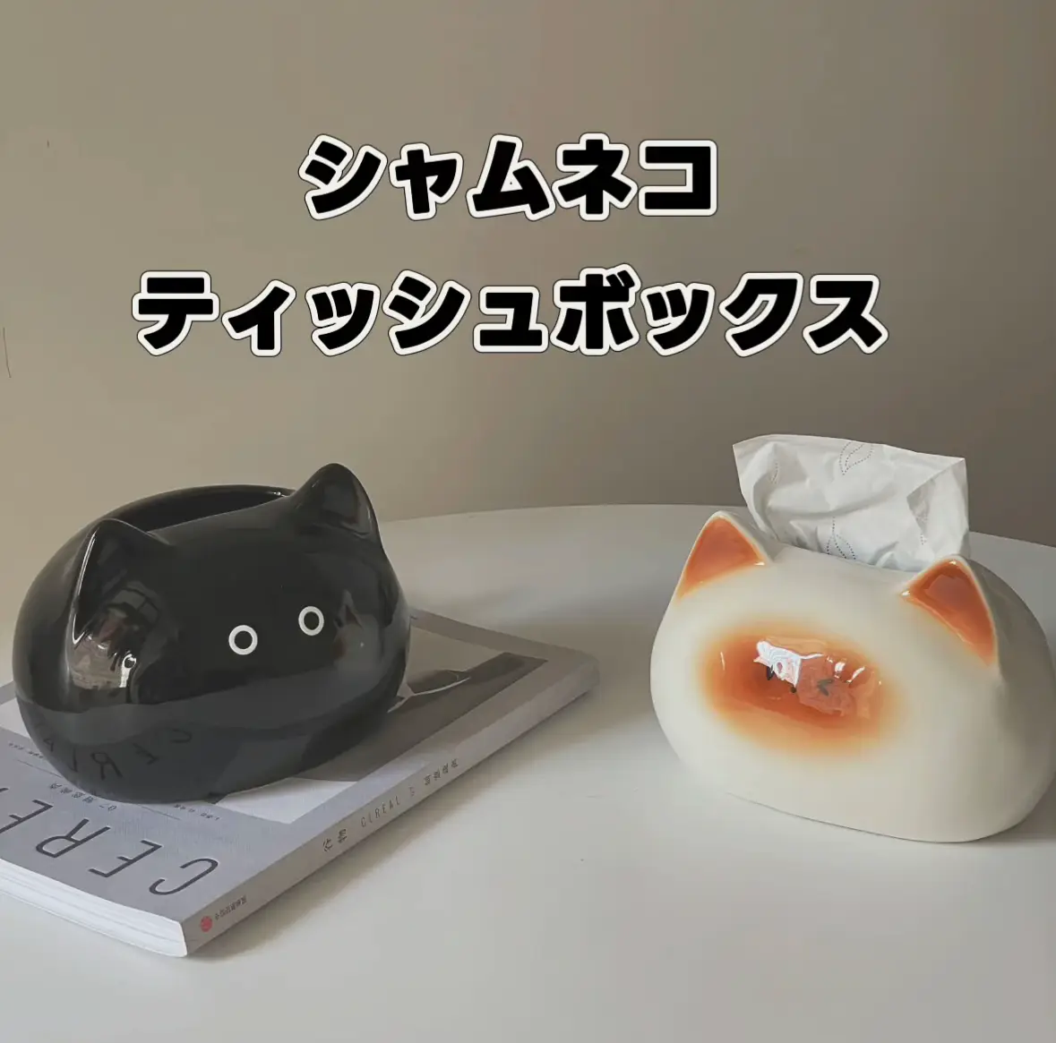 可愛い黒猫の置物❤️ | コンとノン（保護猫）が投稿したフォトブック | Lemon8