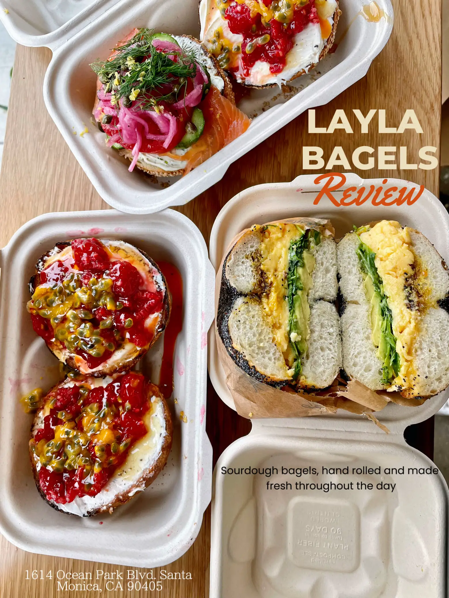 Laika Bagel - Lemon8 Search