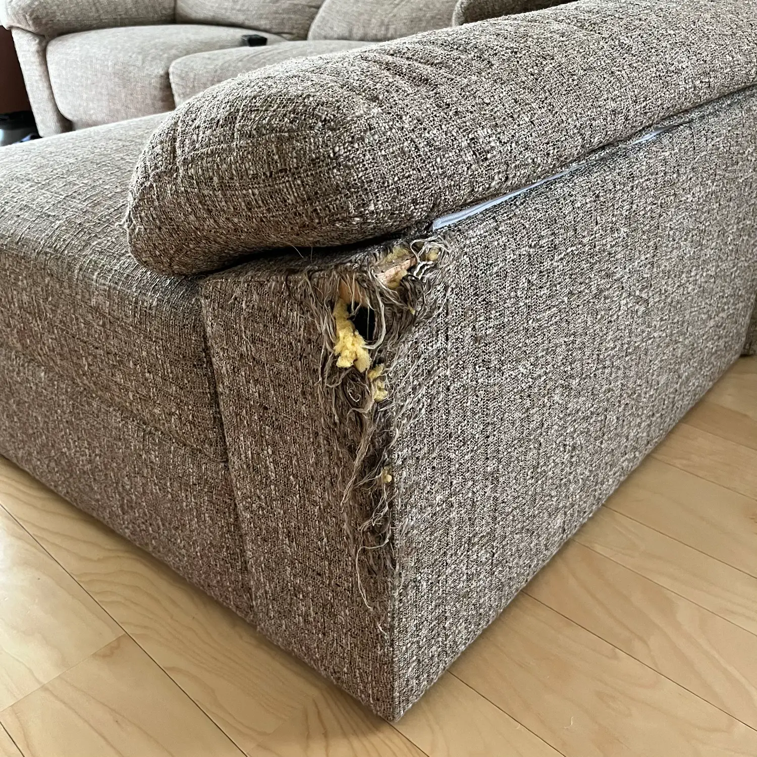 高級 セレブ カーペット ラグ 絨毯 じゅうたん ふわふわ ペット