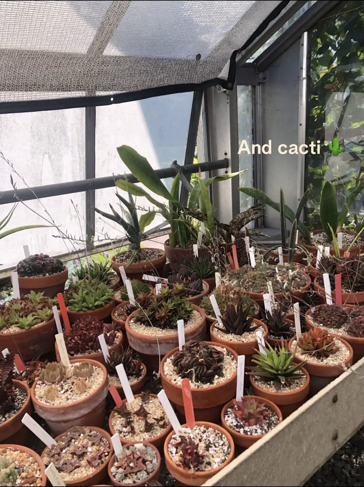 How to escape the city (NYC edition) Gallery posted by Diana B Lemon8