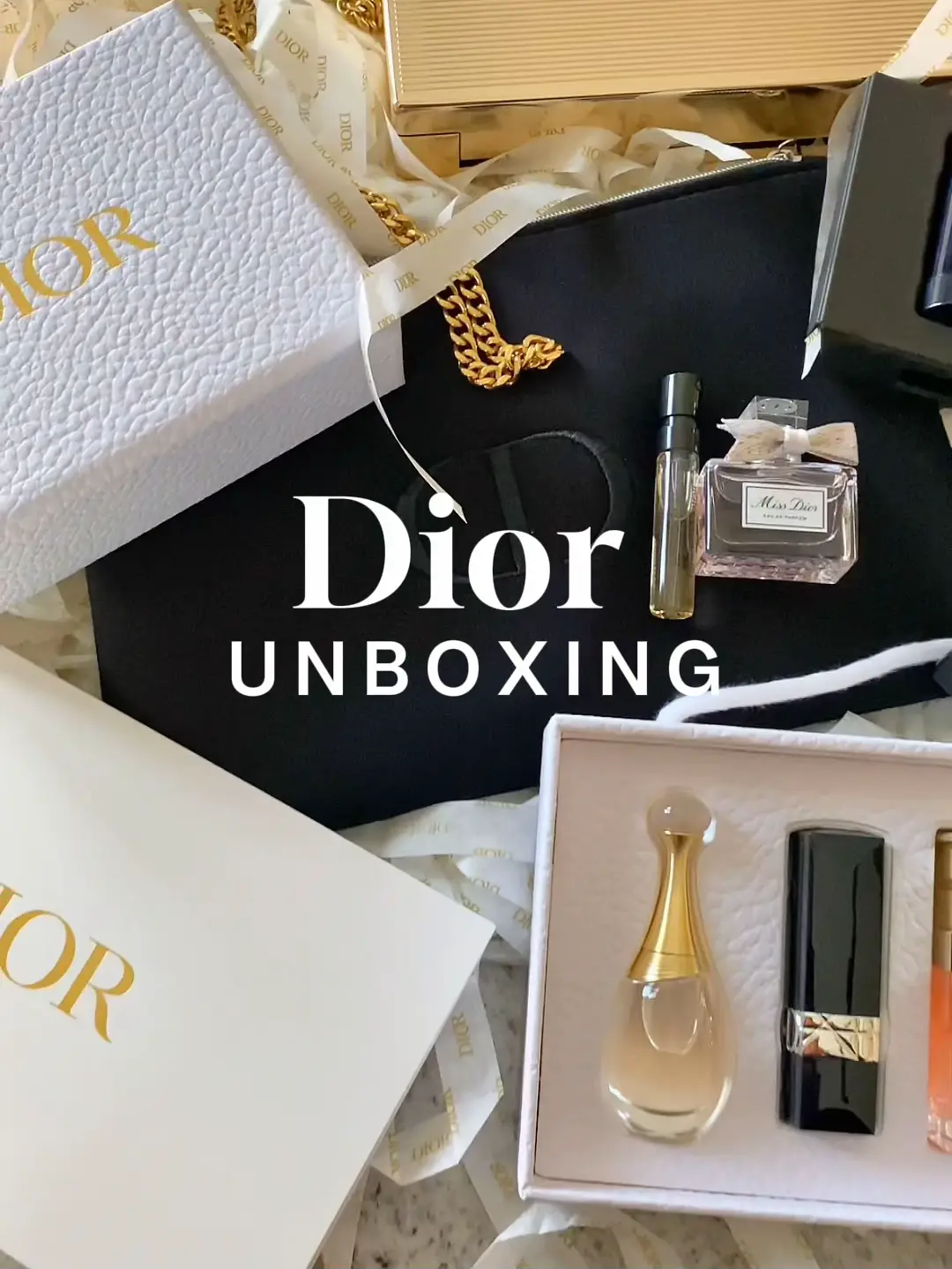 Dior Limited Edition Minaudiere Clutch