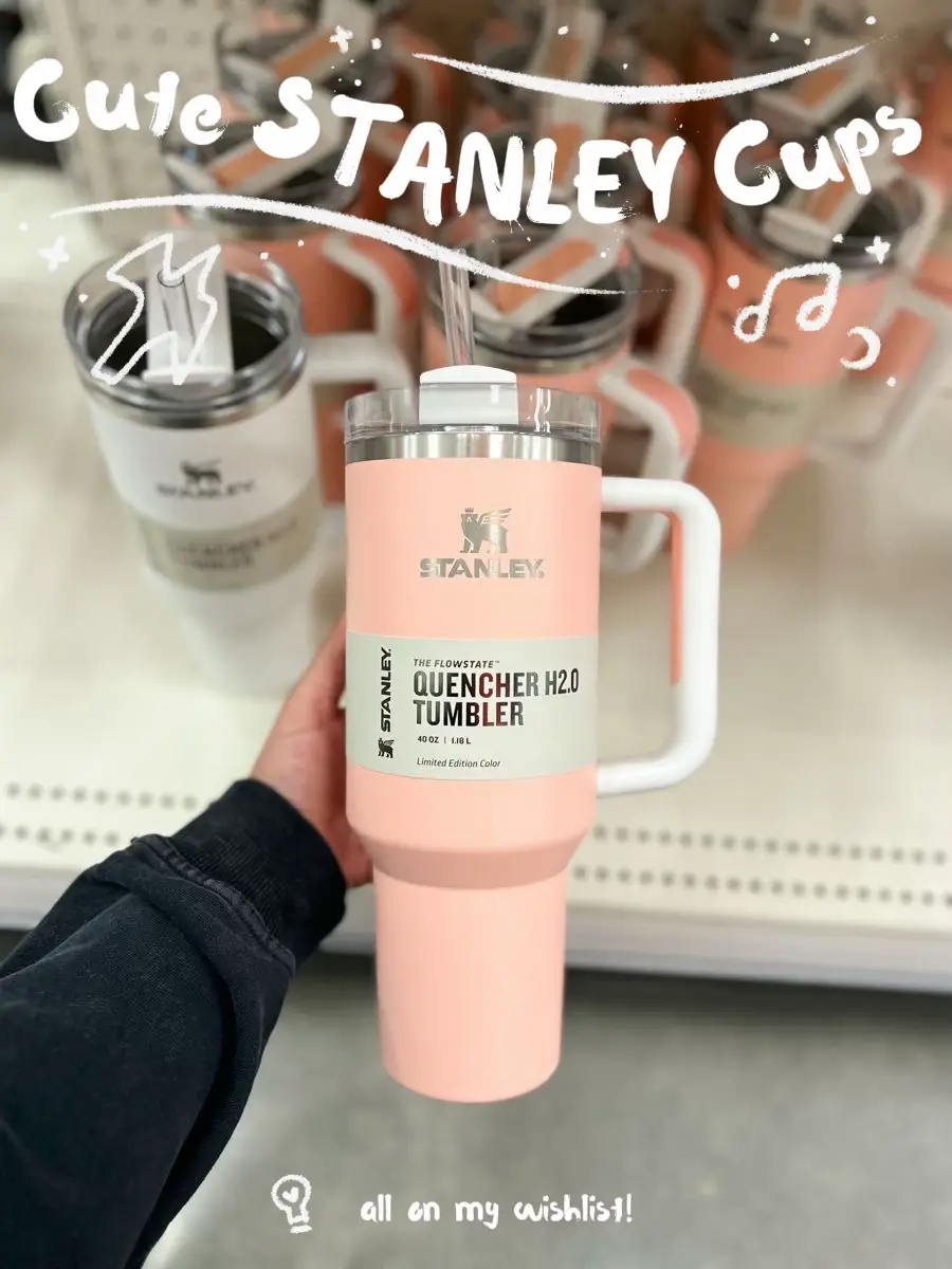 Stanley Pink Parade Black Friday Limited Edition Quencher H2.0 Flowstate  Tumbler 40oz - Tumblers, Facebook Marketplace