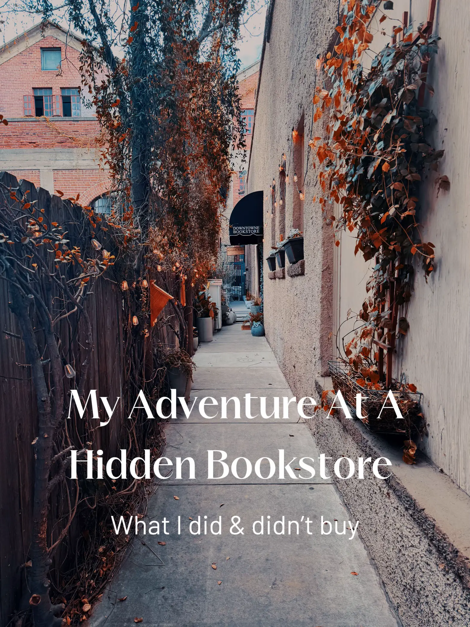20 top Hidden Bookstore ideas in 2024