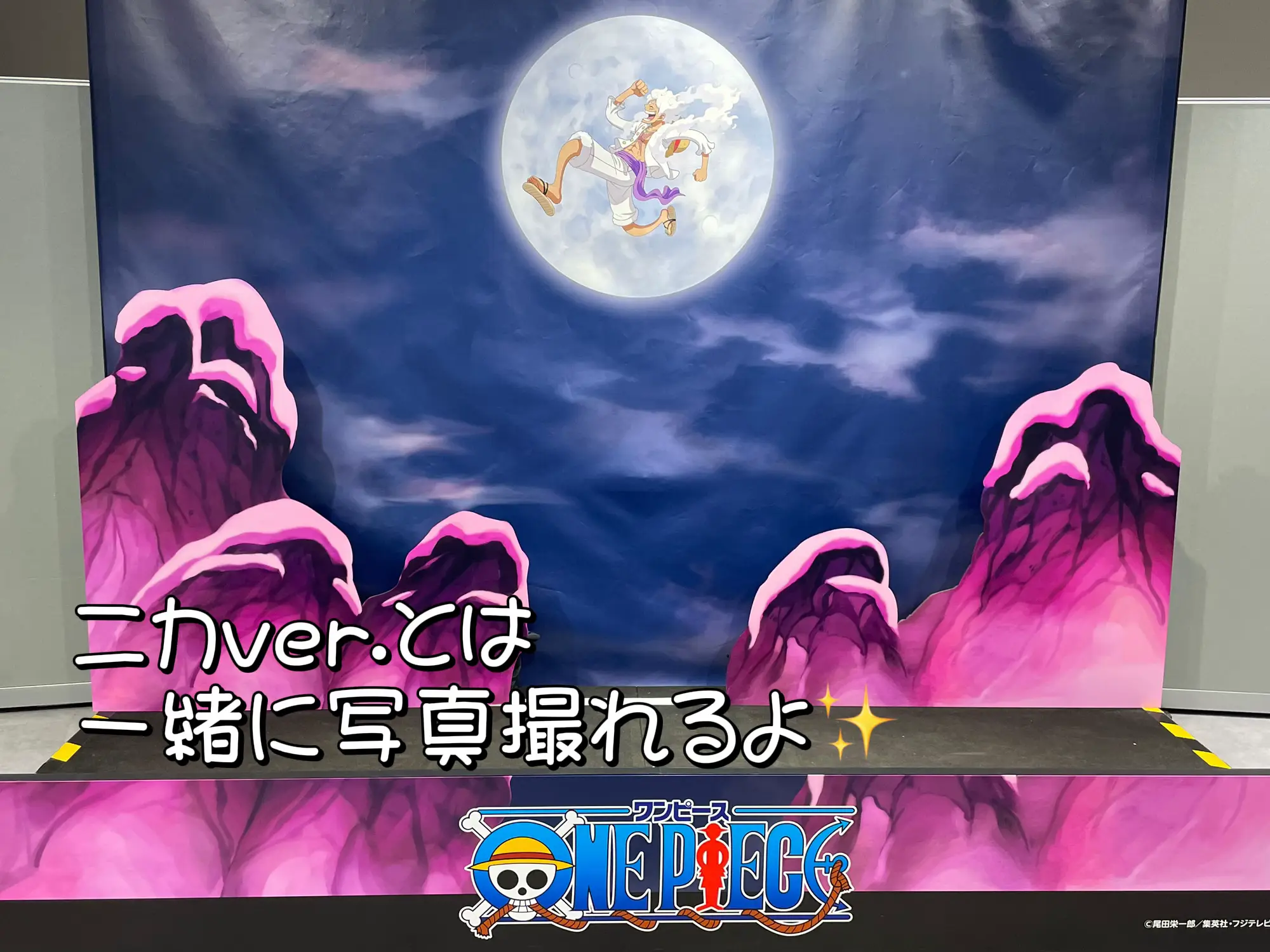 ONE PIECE 83 ワンピース フランス特装版 尾田栄一郎 第83話]ONE PIECE