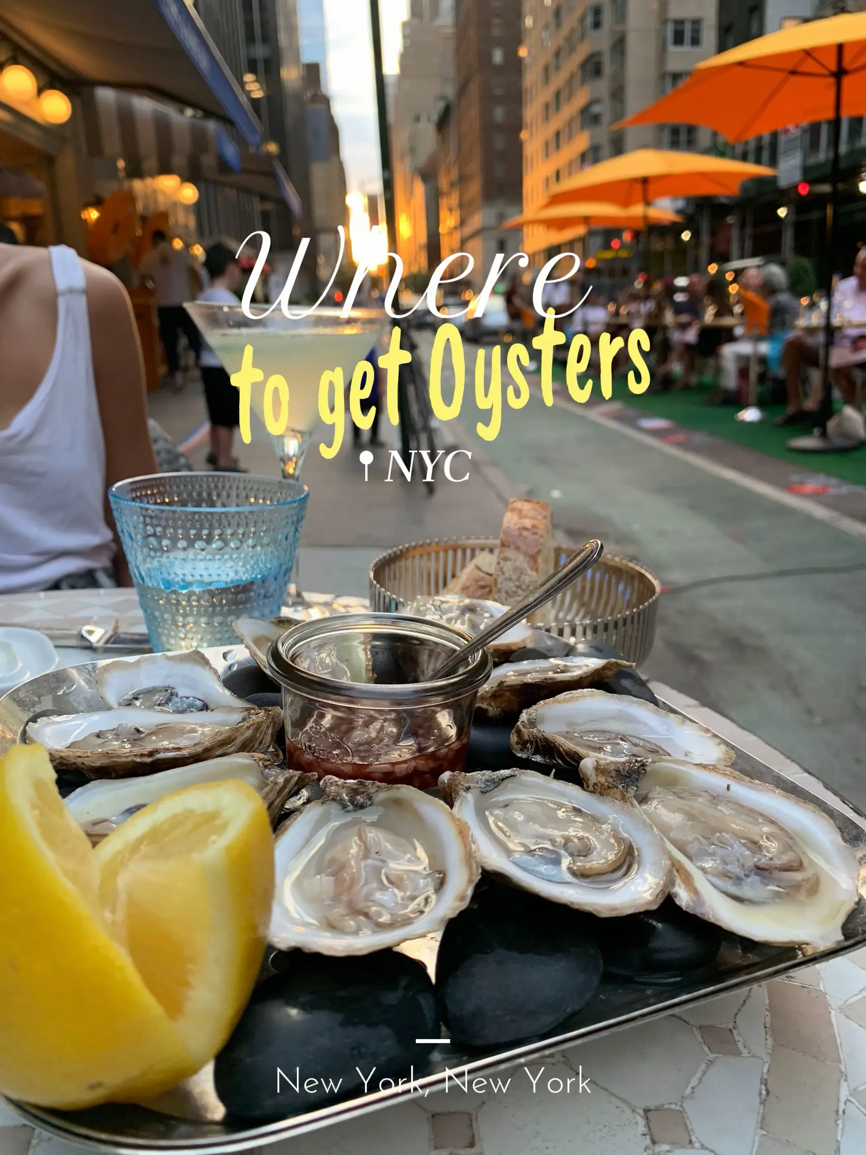 West Coast Oysters Critique Lemon8 Search