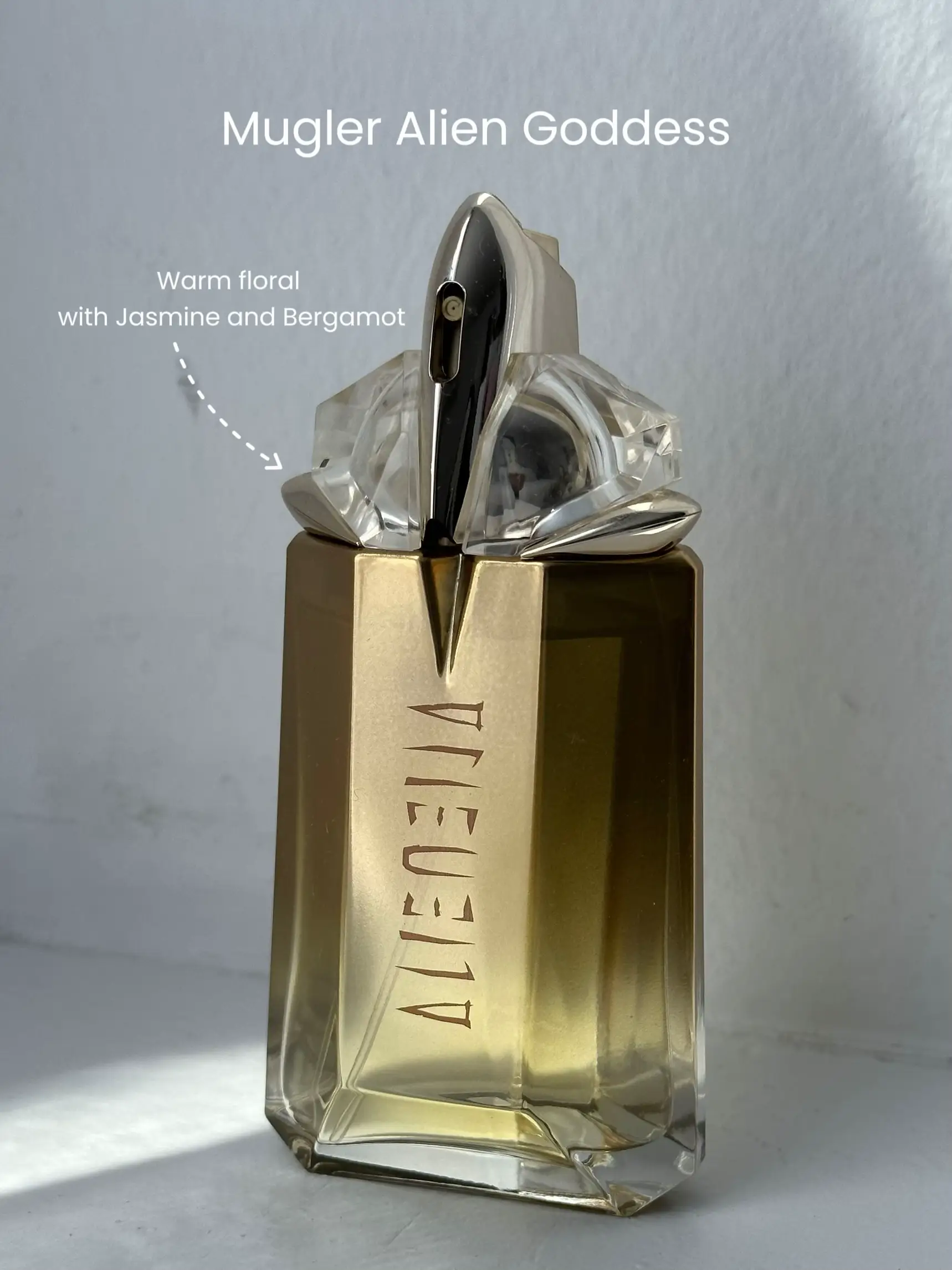 19 top Maven Perfume Authorised Agent ideas in 2024