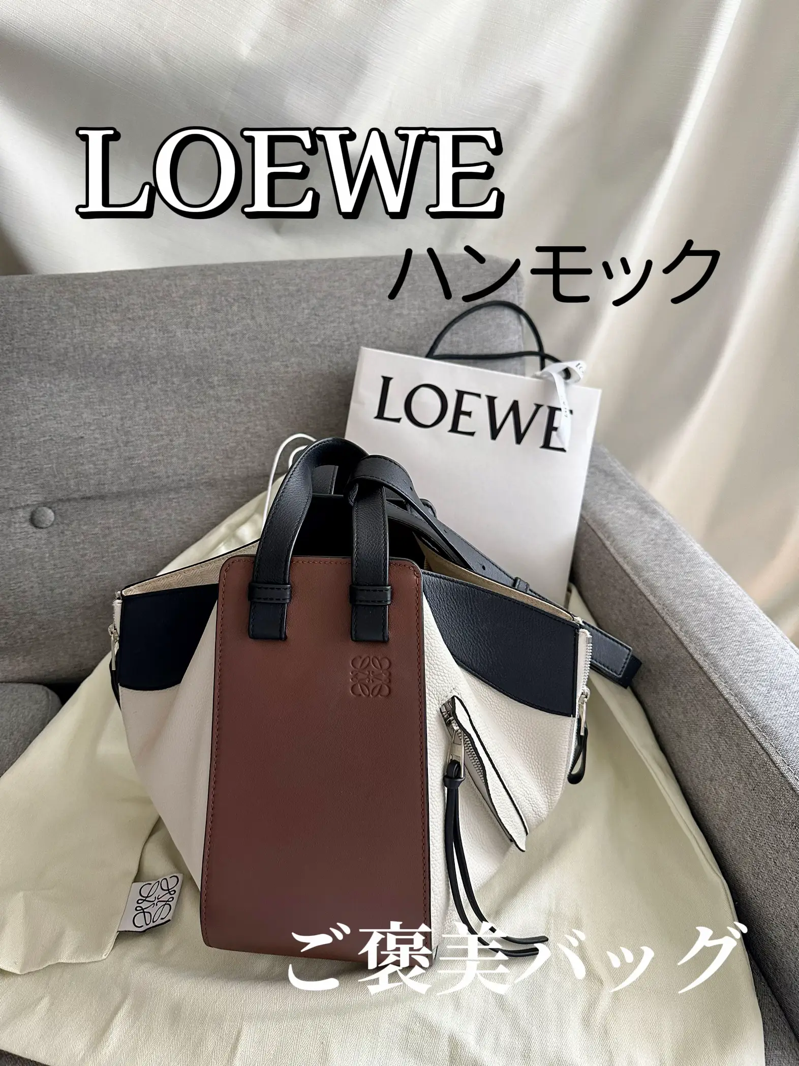 ご褒美バッグLOEWEハンモック | marikoが投稿したフォトブック | Lemon8