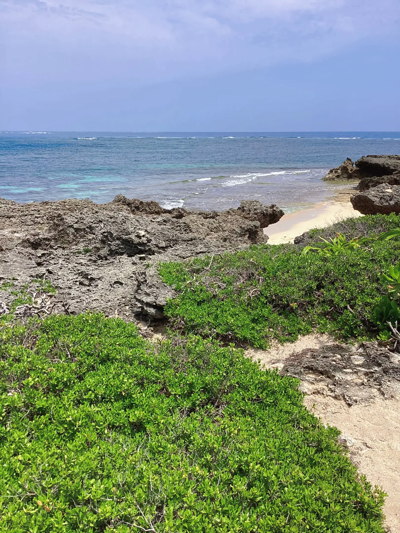 久高島の塩（ふがにまーす） 激しい