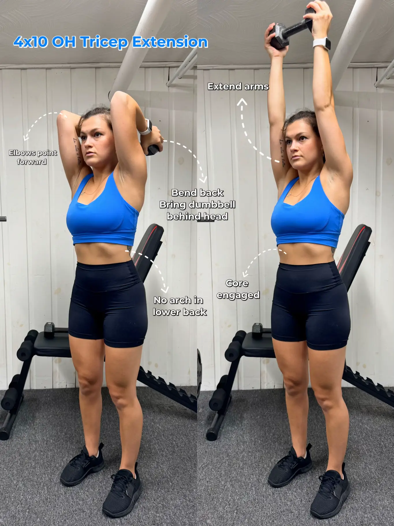 Warmup: Horizontal Chest Opener, Chisel Your Triceps With 2 Dumbbells and  This 30-Minute Beginners' Upper-Body Workout