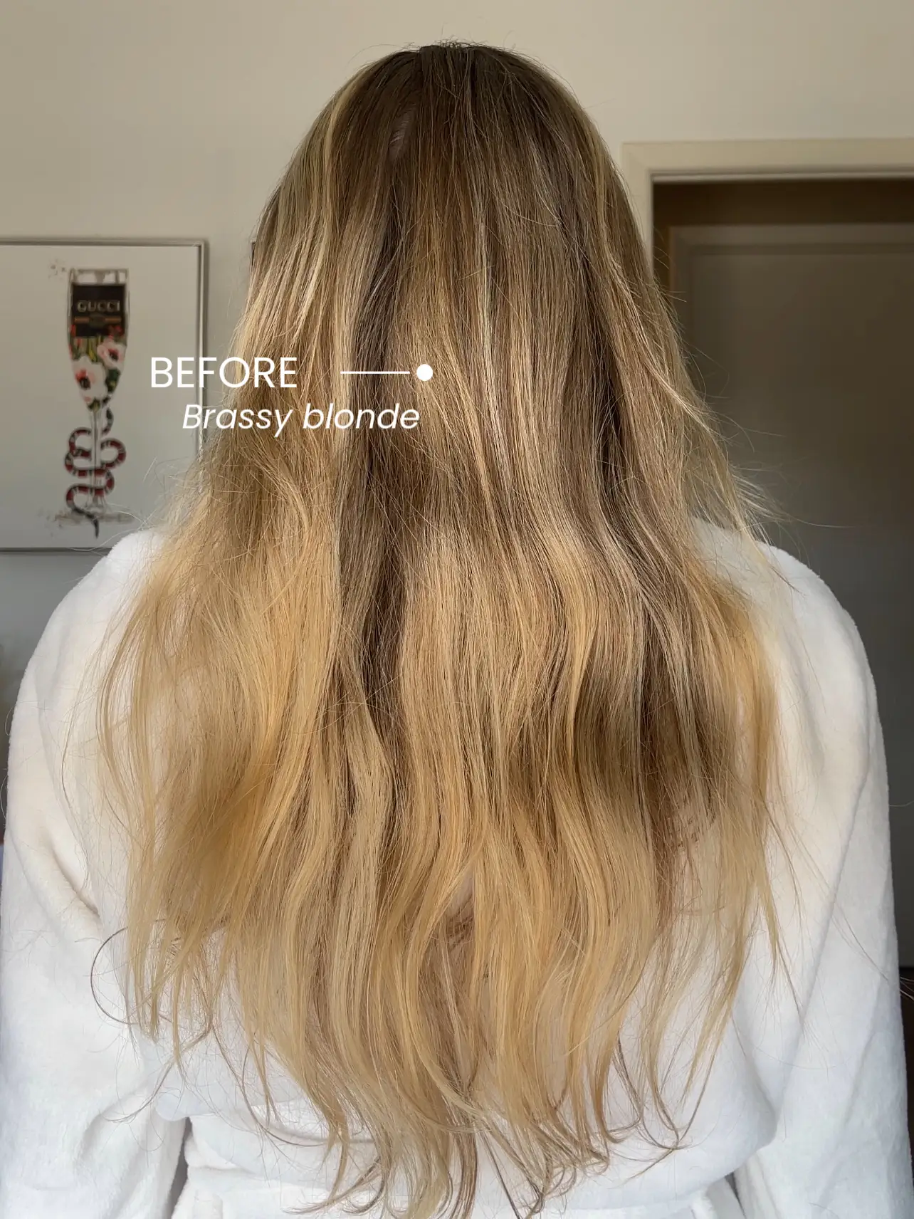 ELIMINATE BRASSY HAIR 🤍, Gallery posted by brianabappert