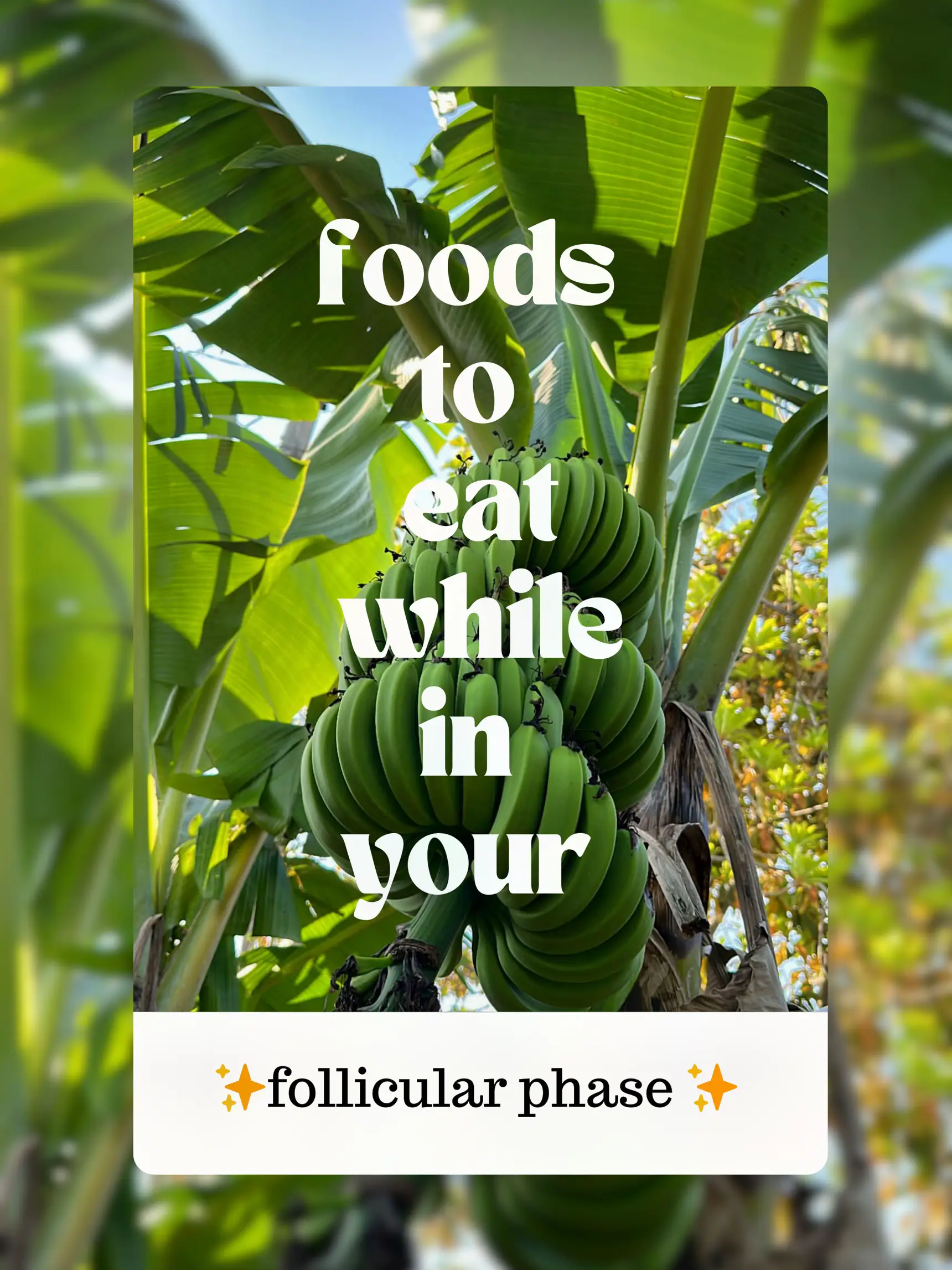 What to Eat During the Follicular Phase