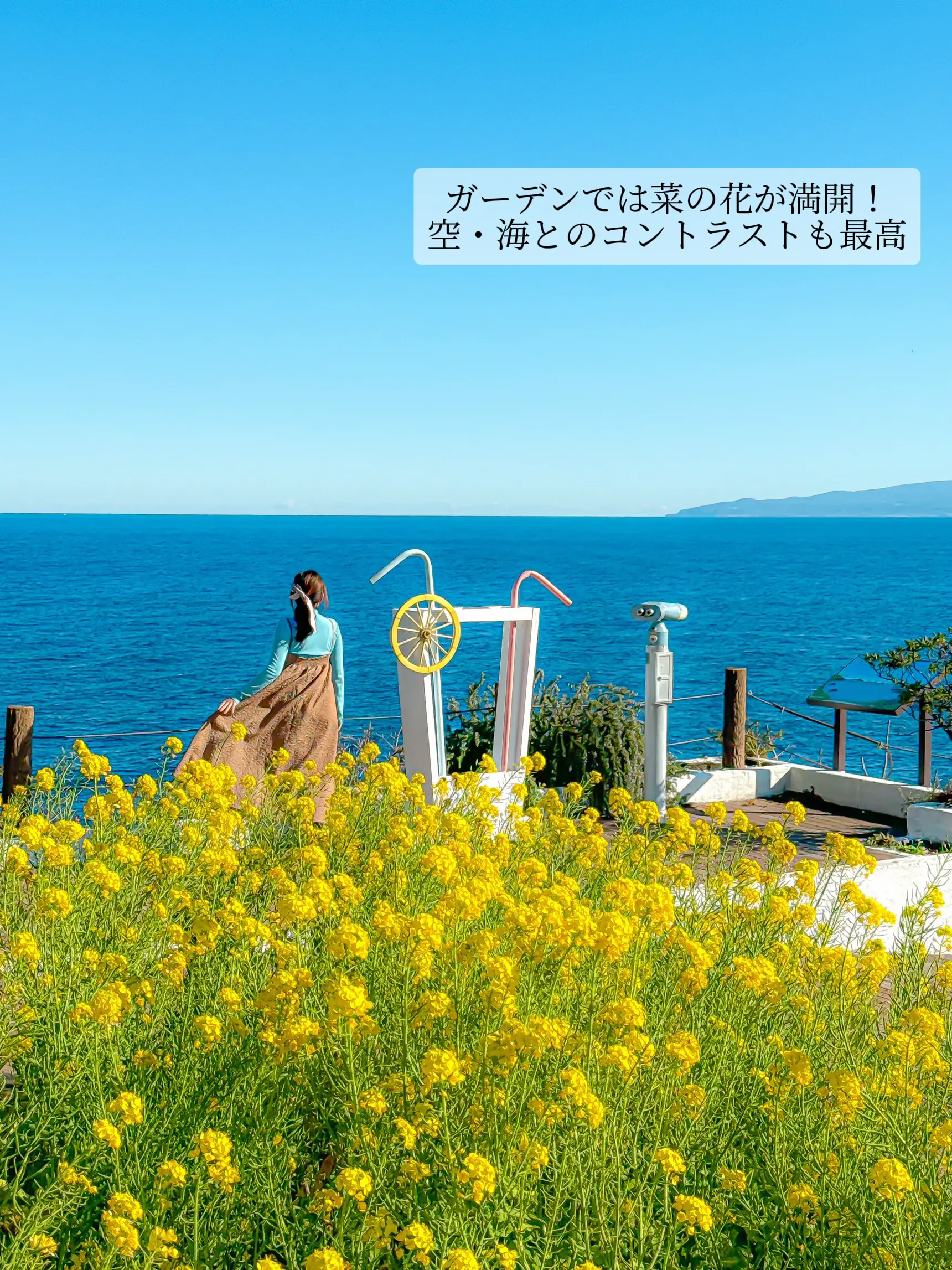 メルヘンな世界💐満開✨菜の花畑も！120年前のステンドグラスに